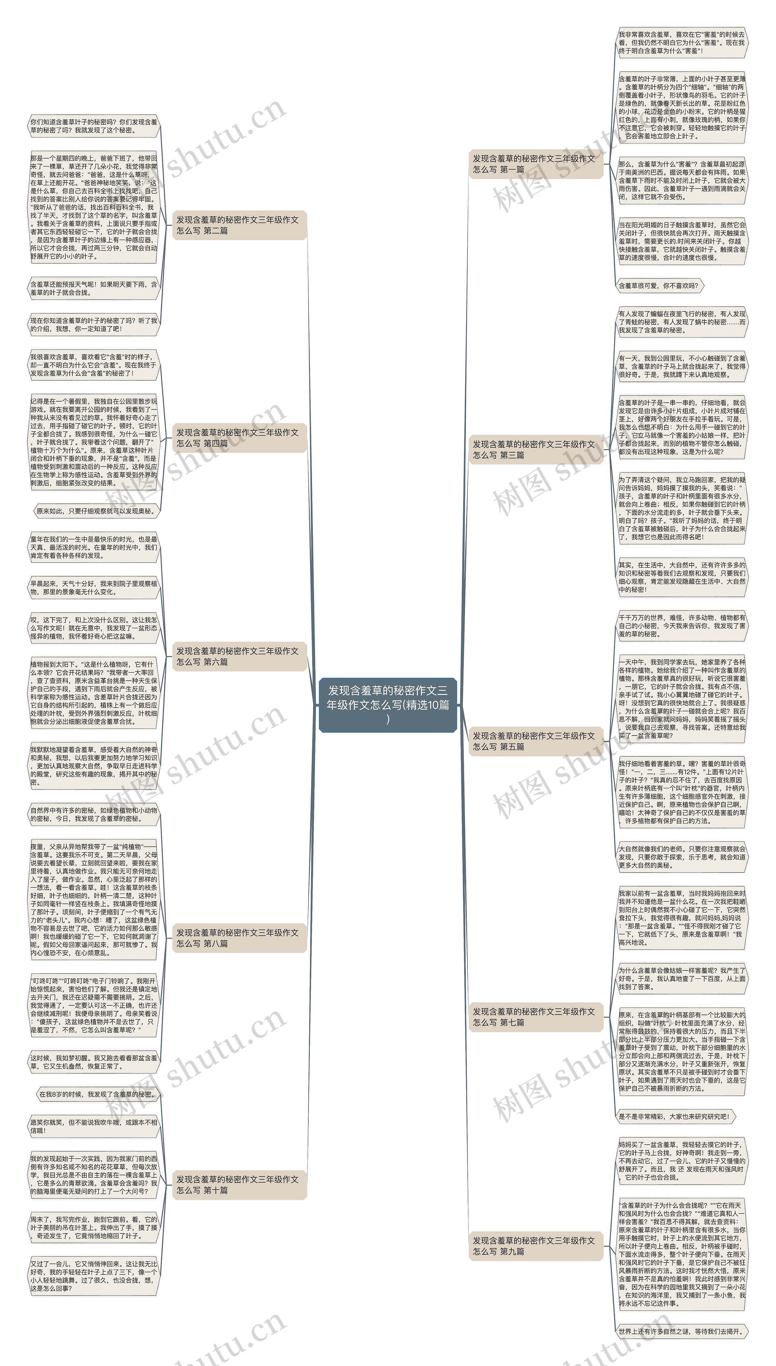 发现含羞草的秘密作文三年级作文怎么写(精选10篇) 发现含羞草的秘密作文三年级作文怎么写(精选10篇)