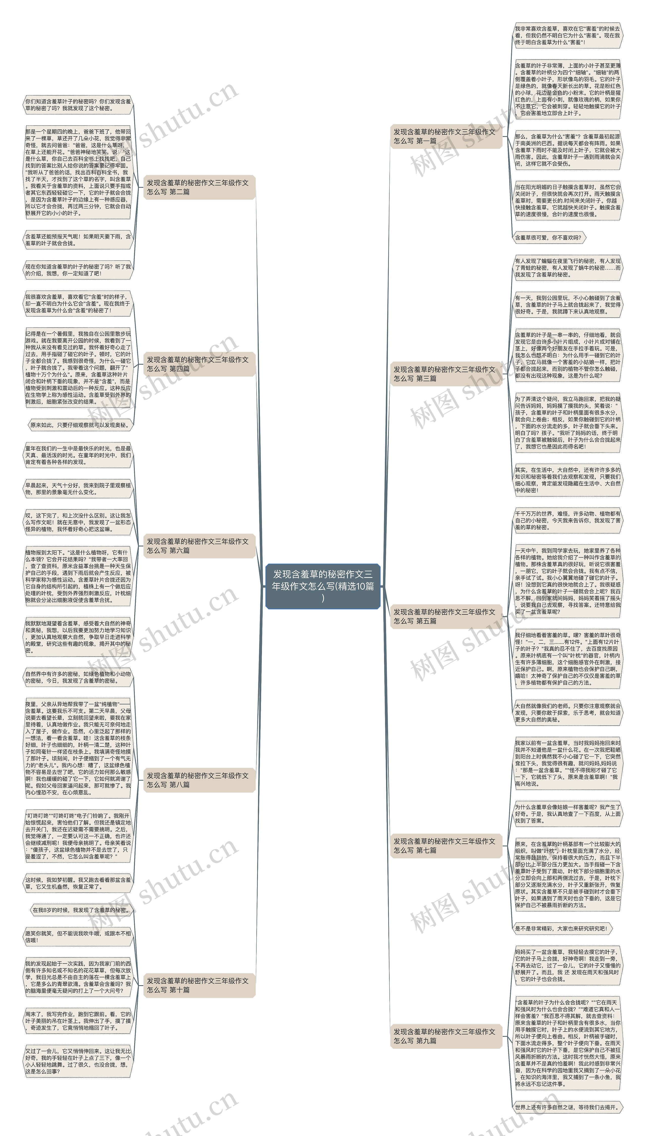 发现含羞草的秘密作文三年级作文怎么写(精选10篇)思维导图
