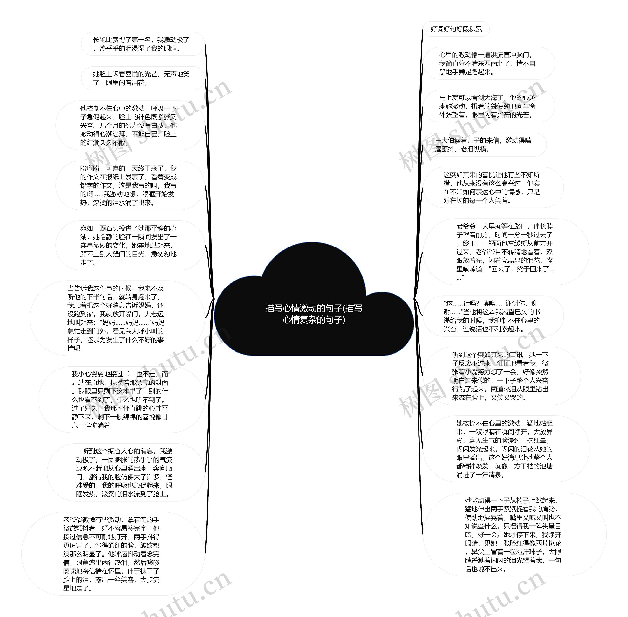 描写心情激动的句子(描写心情复杂的句子)思维导图