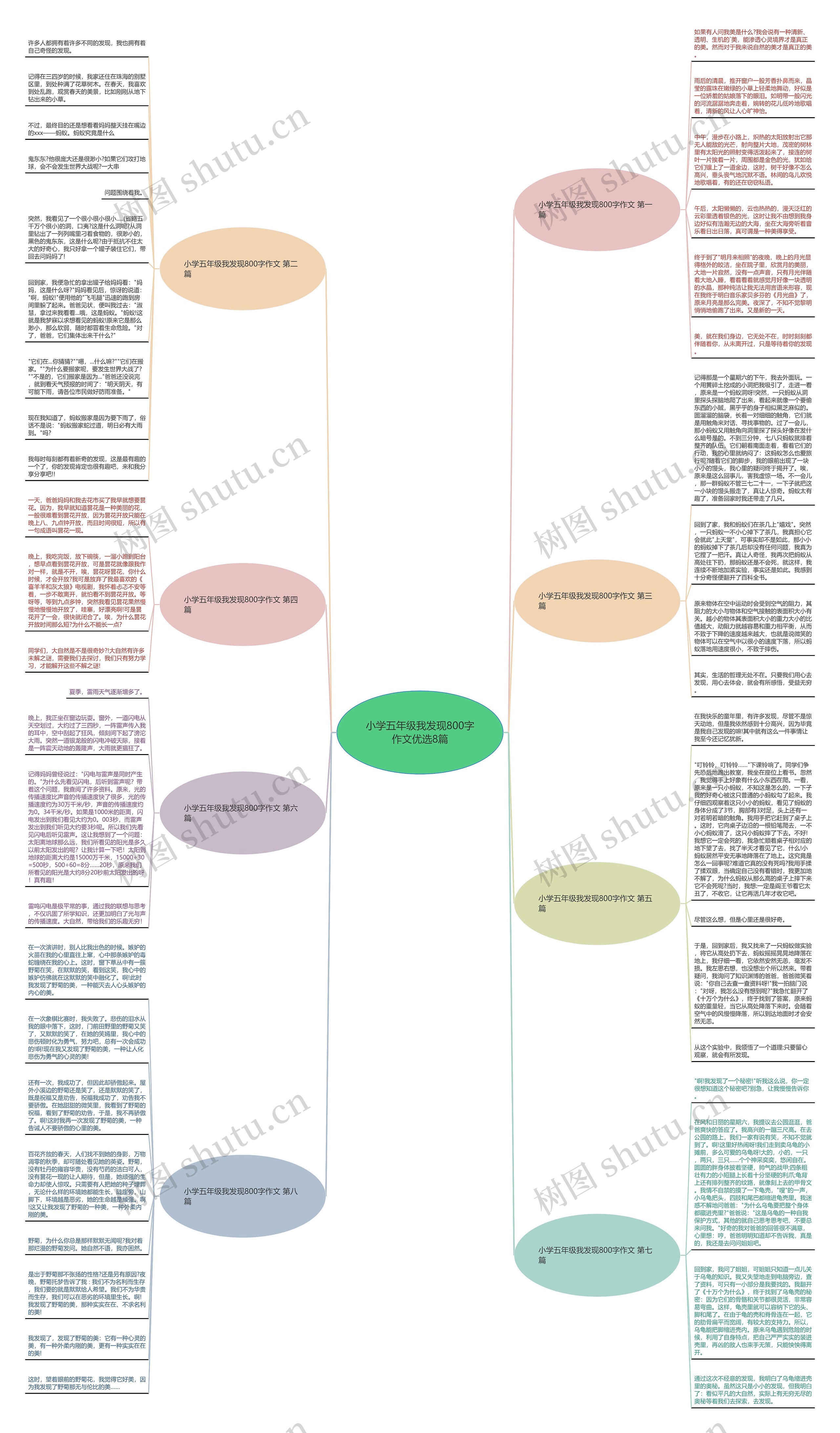 小学五年级我发现800字作文优选8篇思维导图