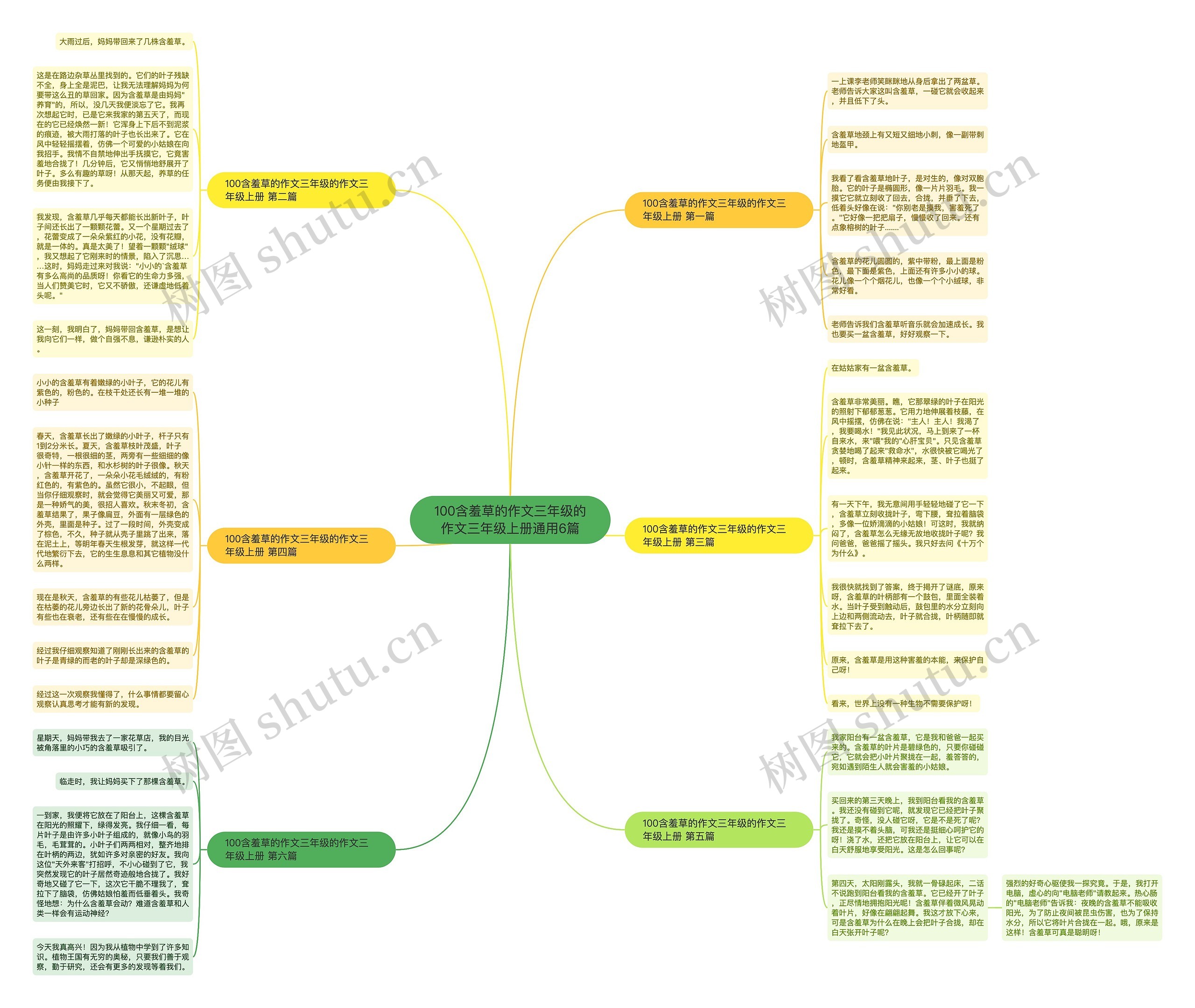 100含羞草的作文三年级的作文三年级上册通用6篇思维导图