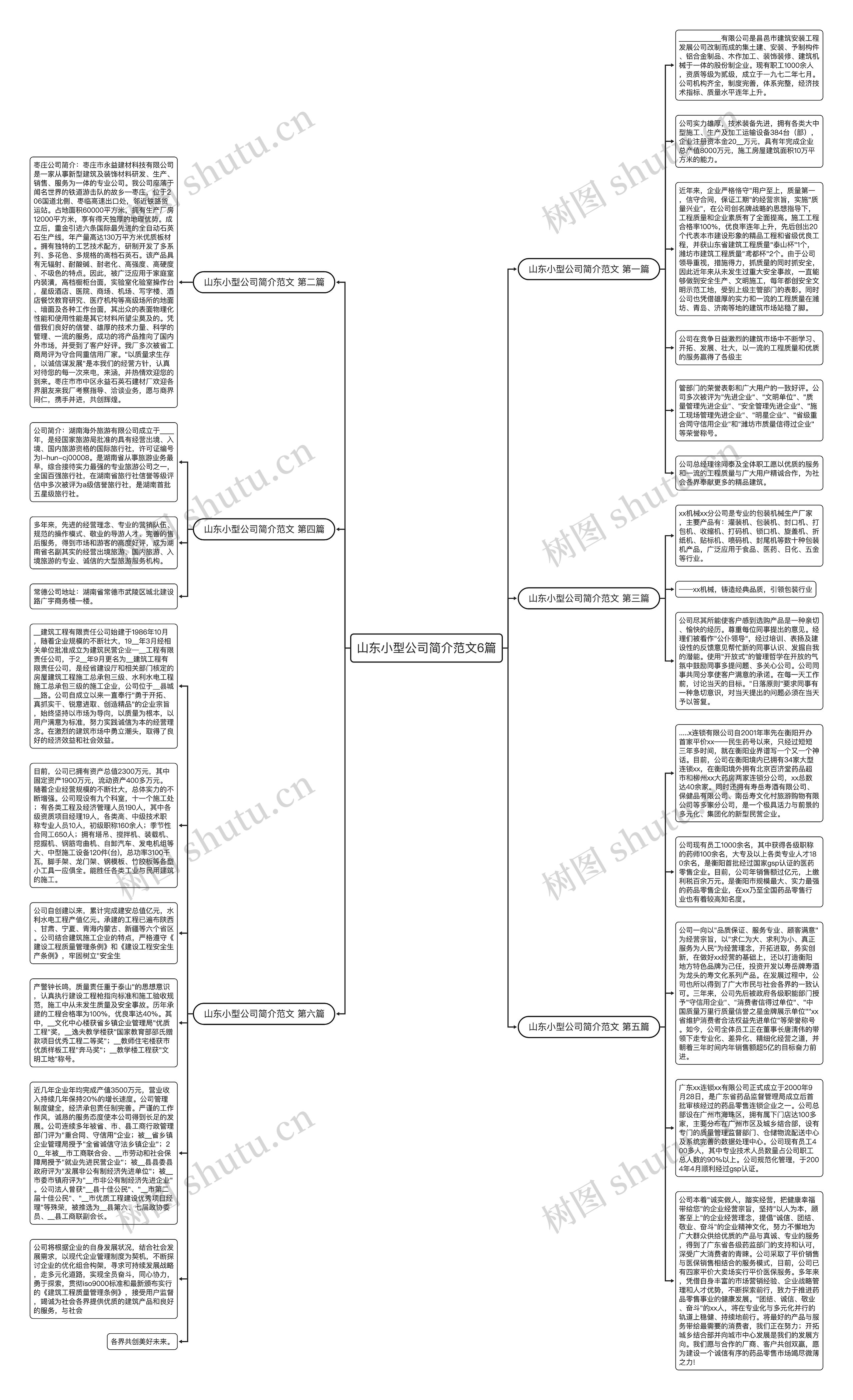 山东小型公司简介范文6篇思维导图