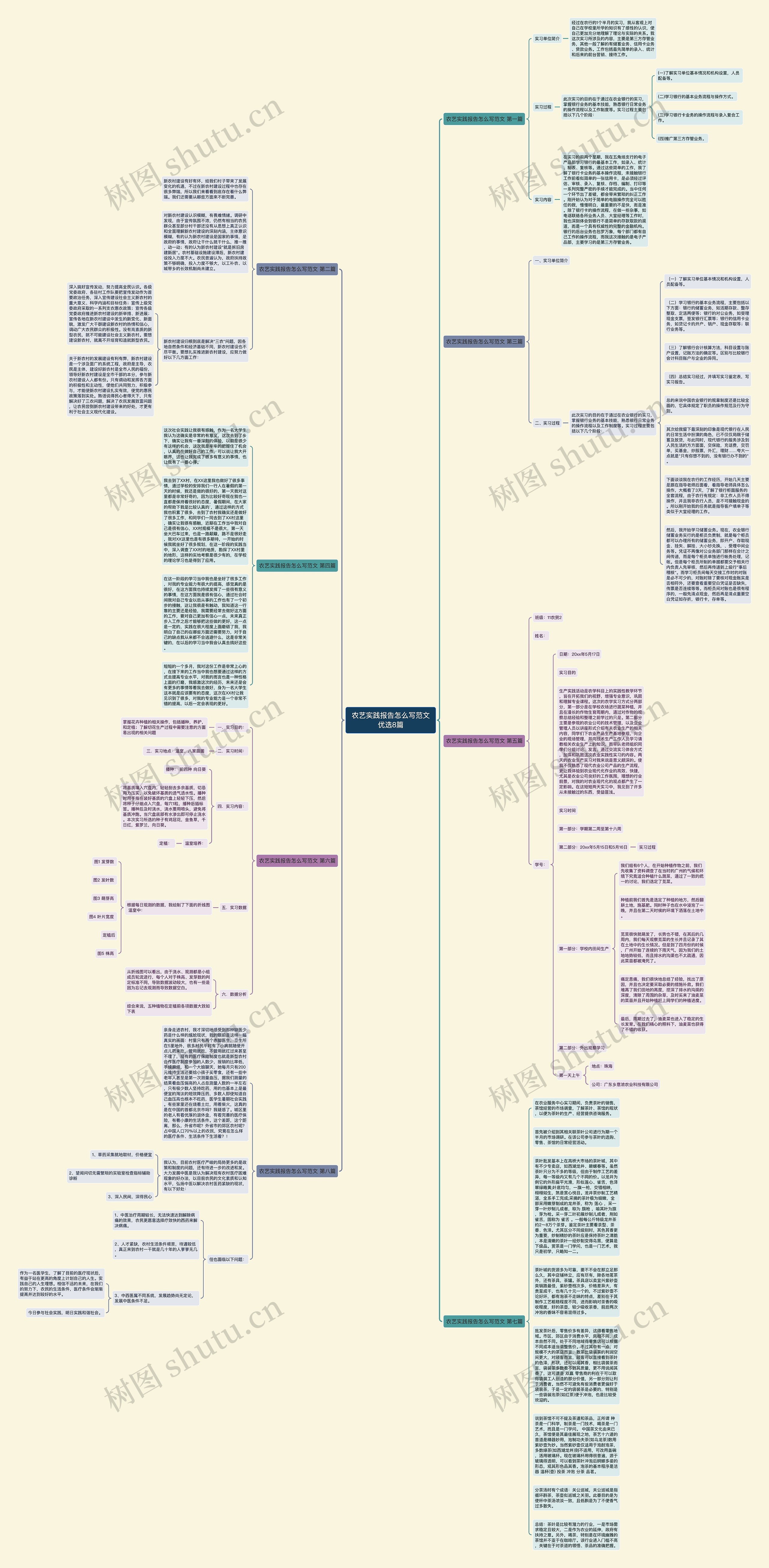 农艺实践报告怎么写范文优选8篇思维导图