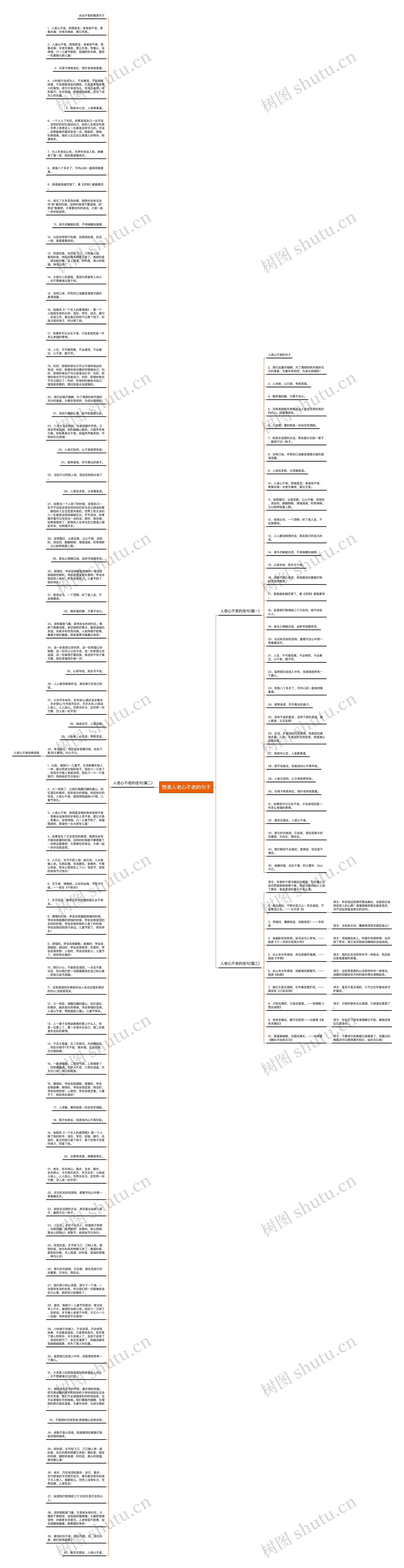 赞美人老心不老的句子思维导图