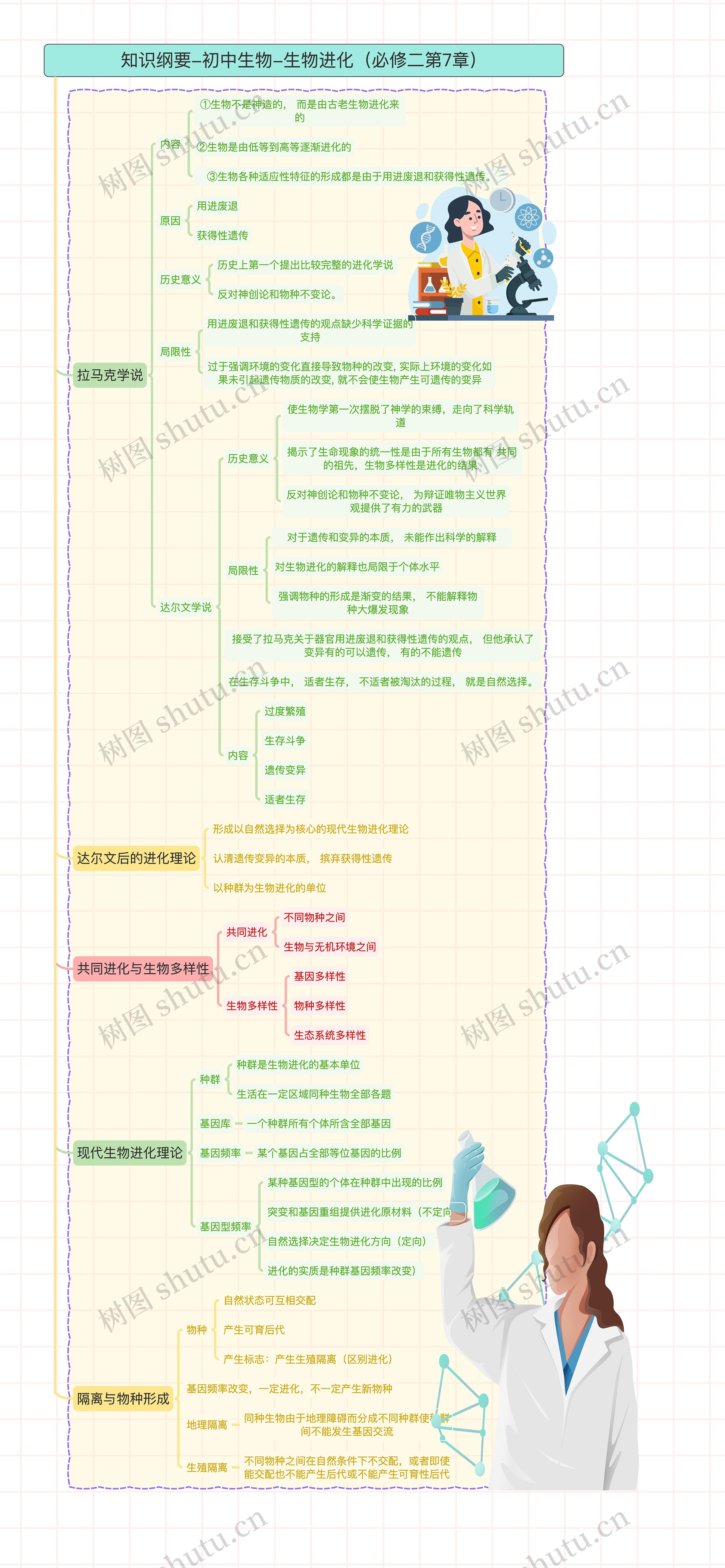 知识纲要-初中生物-生物进化（必修二第7章）思维导图