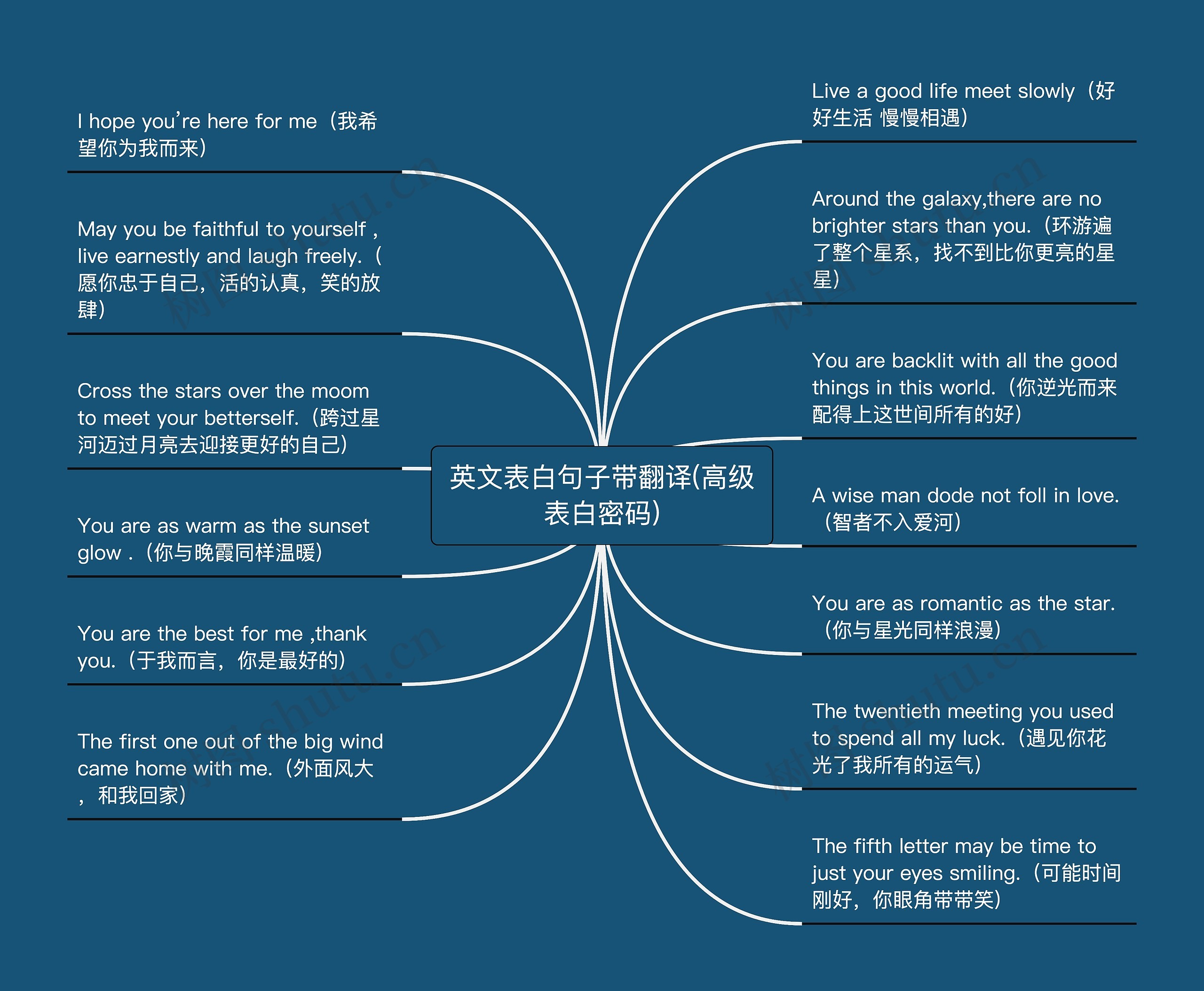 英文表白句子带翻译(高级表白密码)