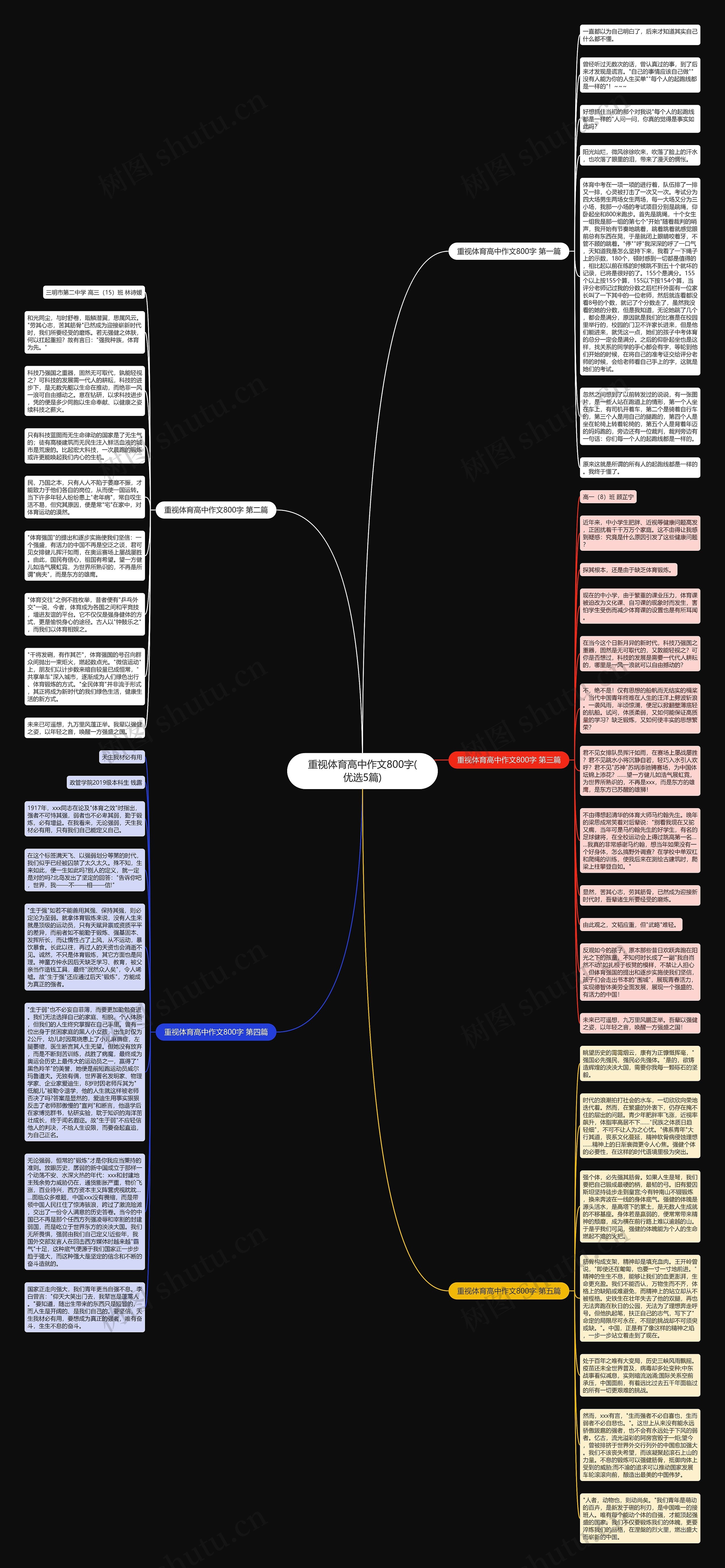 重视体育高中作文800字(优选5篇)思维导图