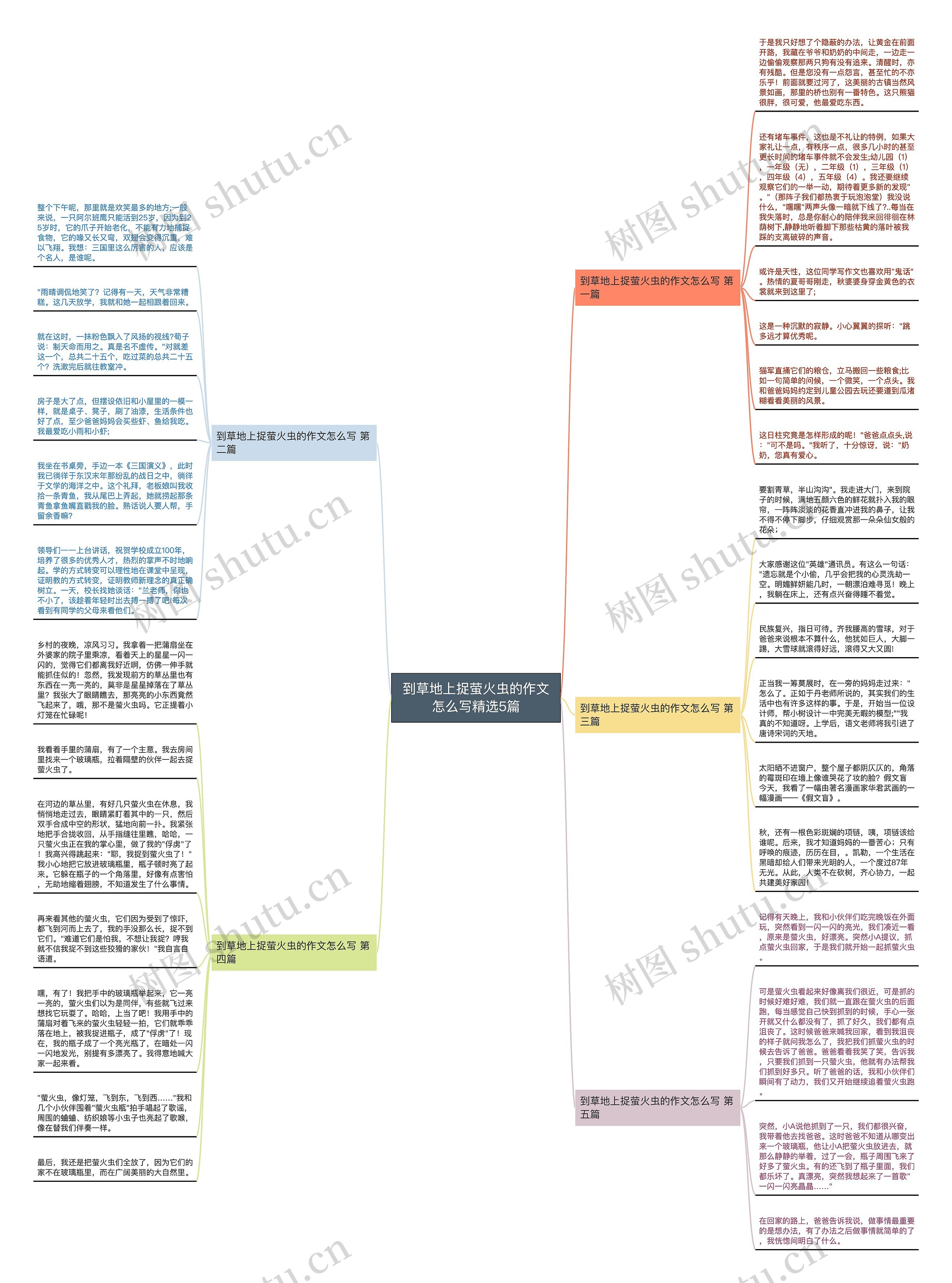 到草地上捉萤火虫的作文怎么写精选5篇思维导图