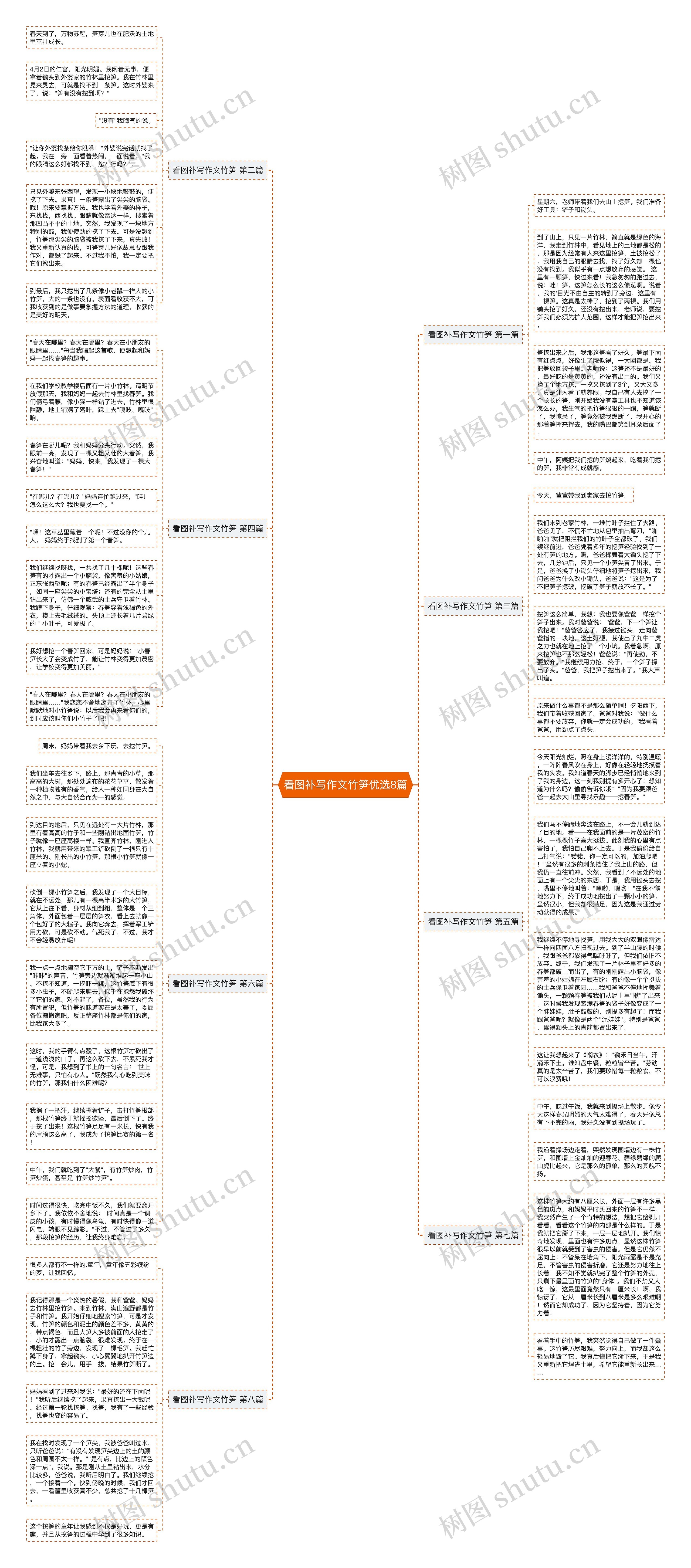 看图补写作文竹笋优选8篇思维导图
