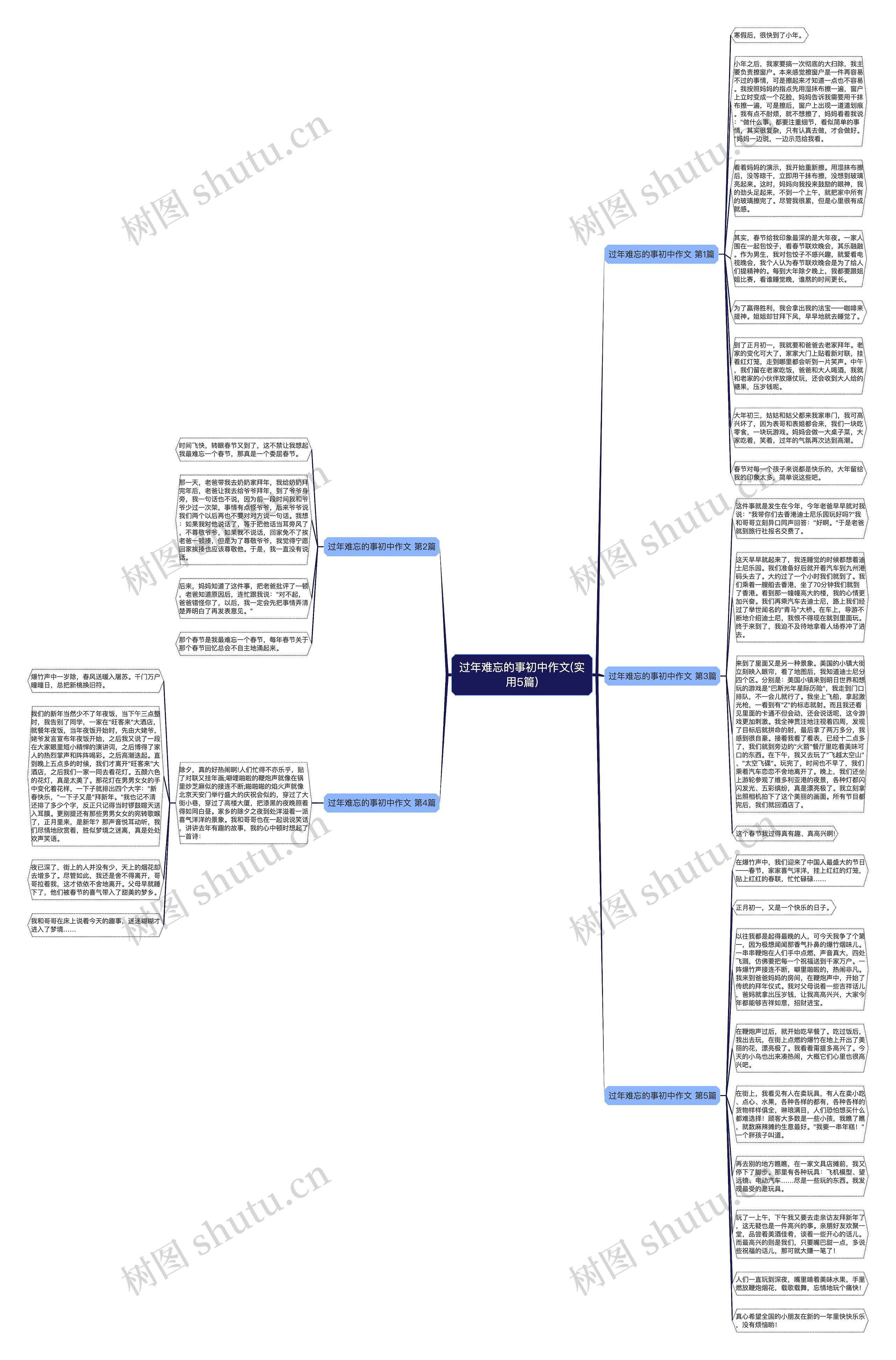过年难忘的事初中作文(实用5篇)思维导图