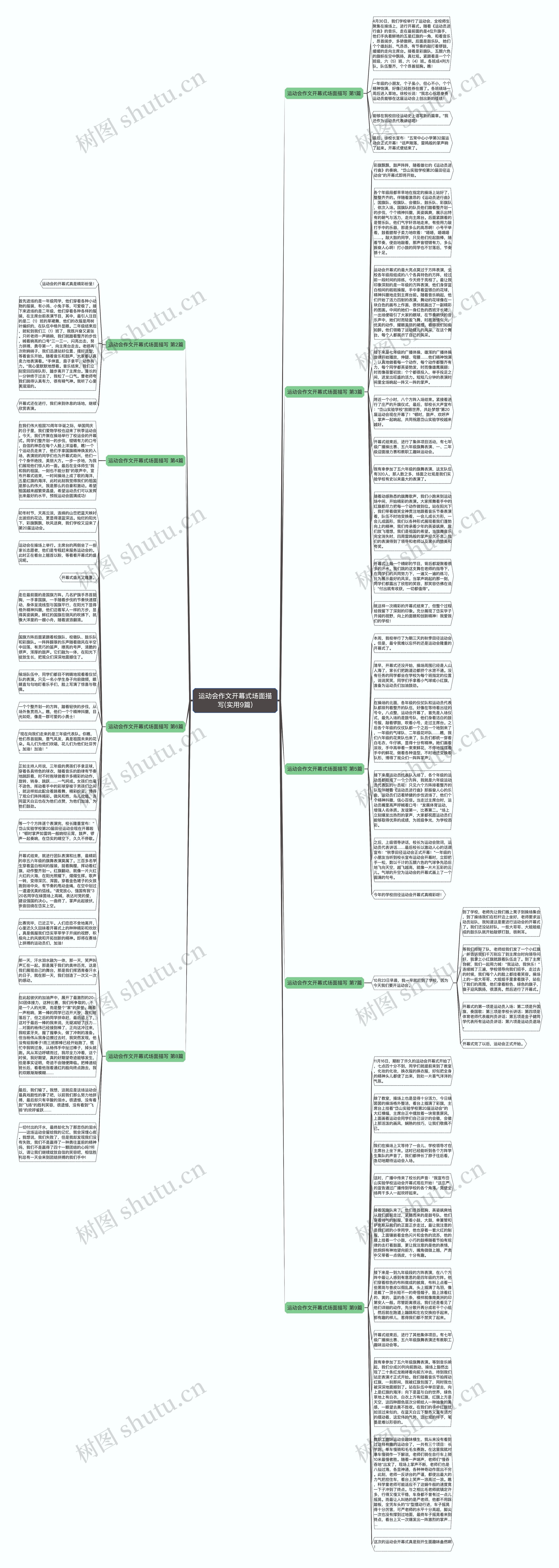 运动会作文开幕式场面描写(实用9篇)思维导图