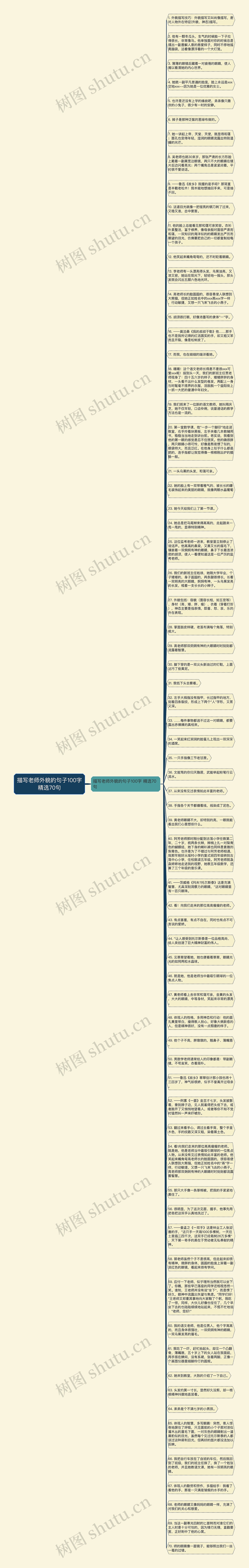 描写老师外貌的句子100字精选70句思维导图