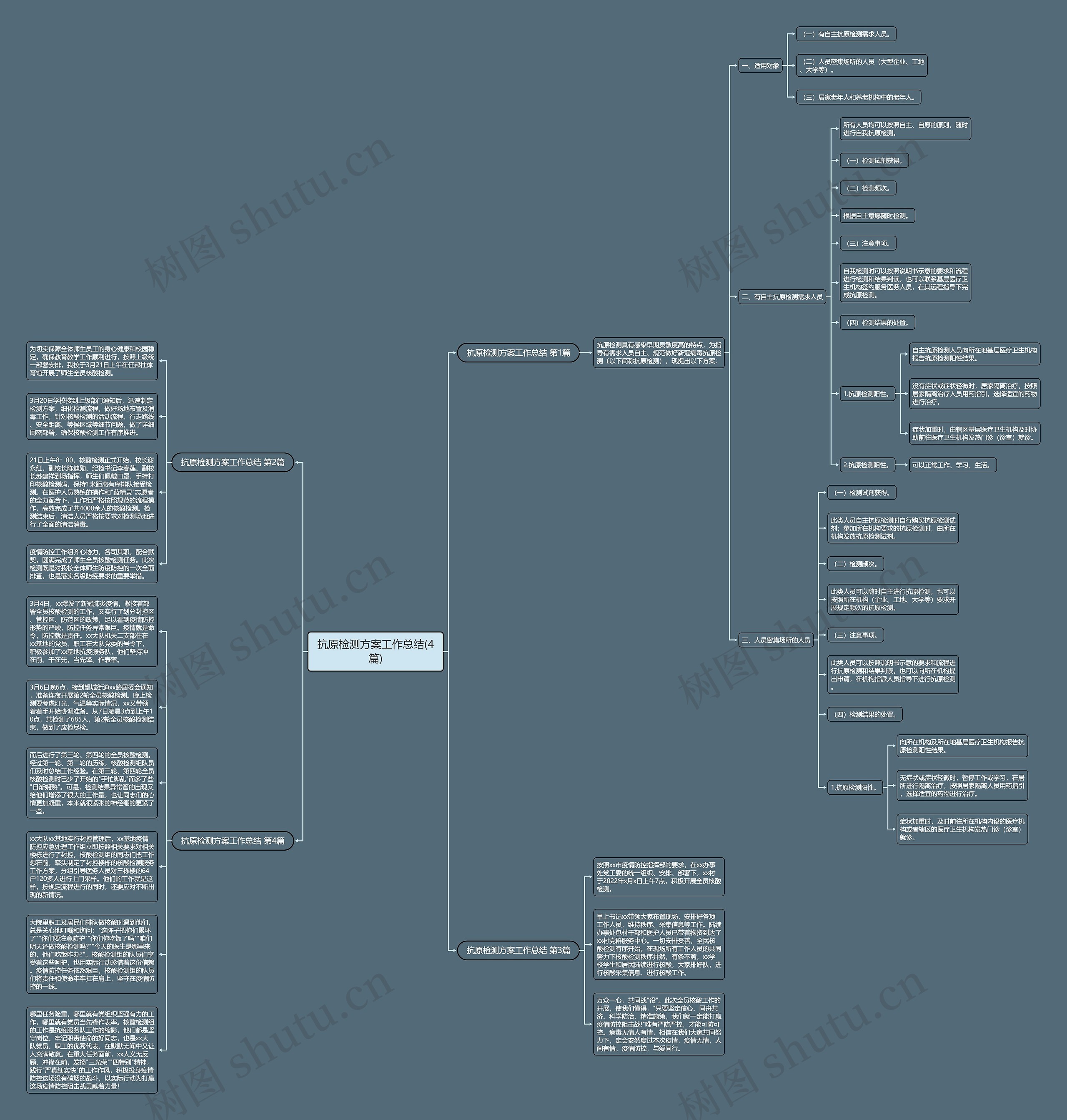 抗原检测方案工作总结(4篇)思维导图