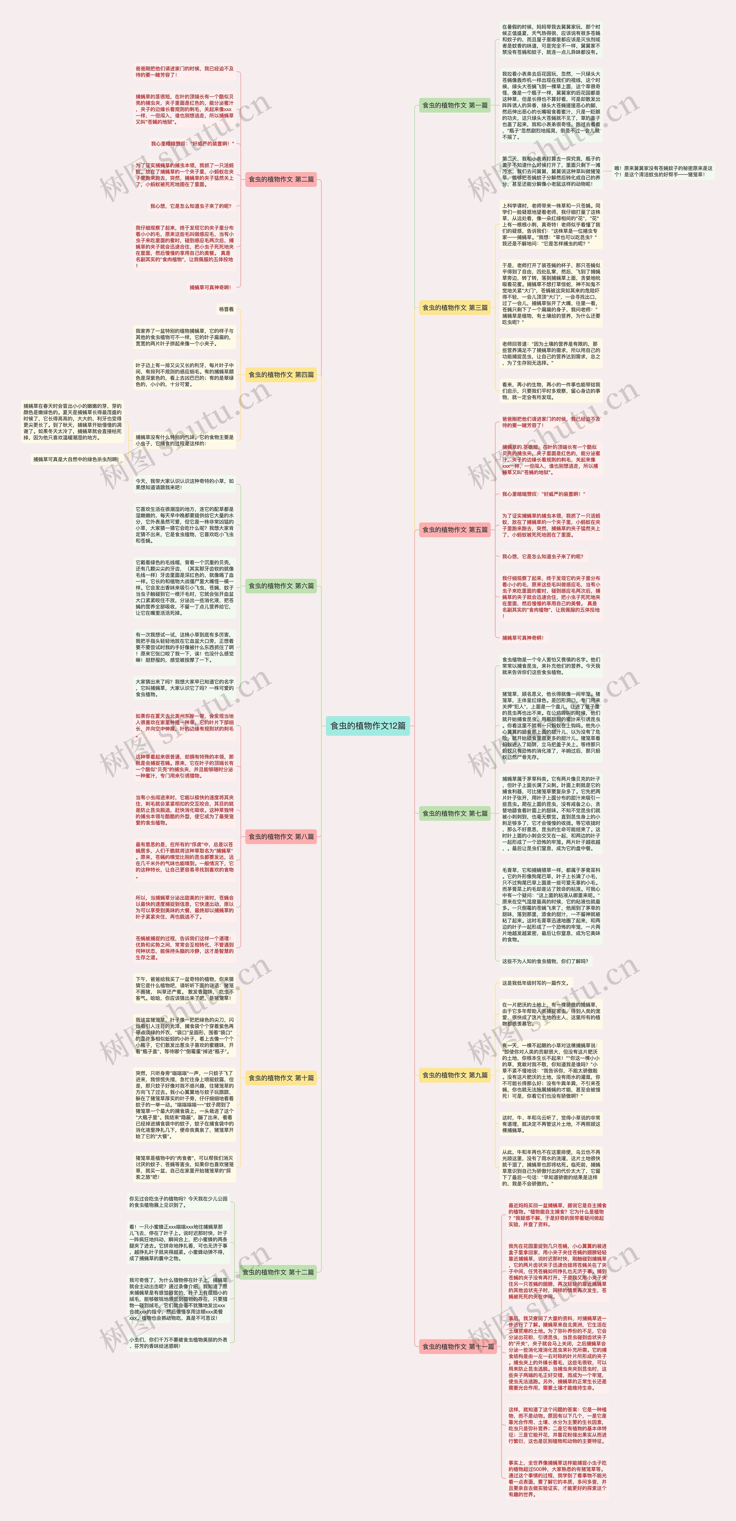食虫的植物作文12篇思维导图