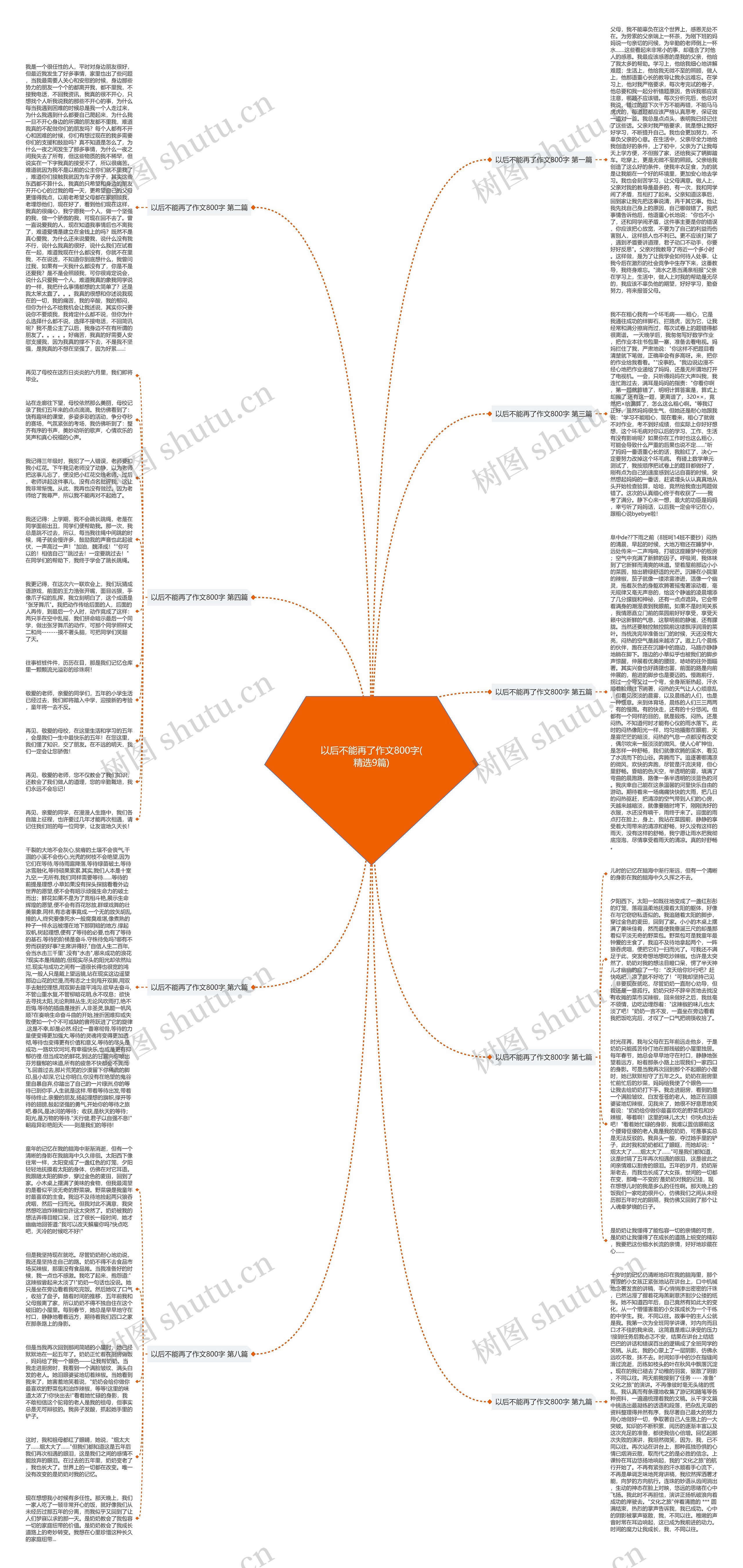以后不能再了作文800字(精选9篇)思维导图