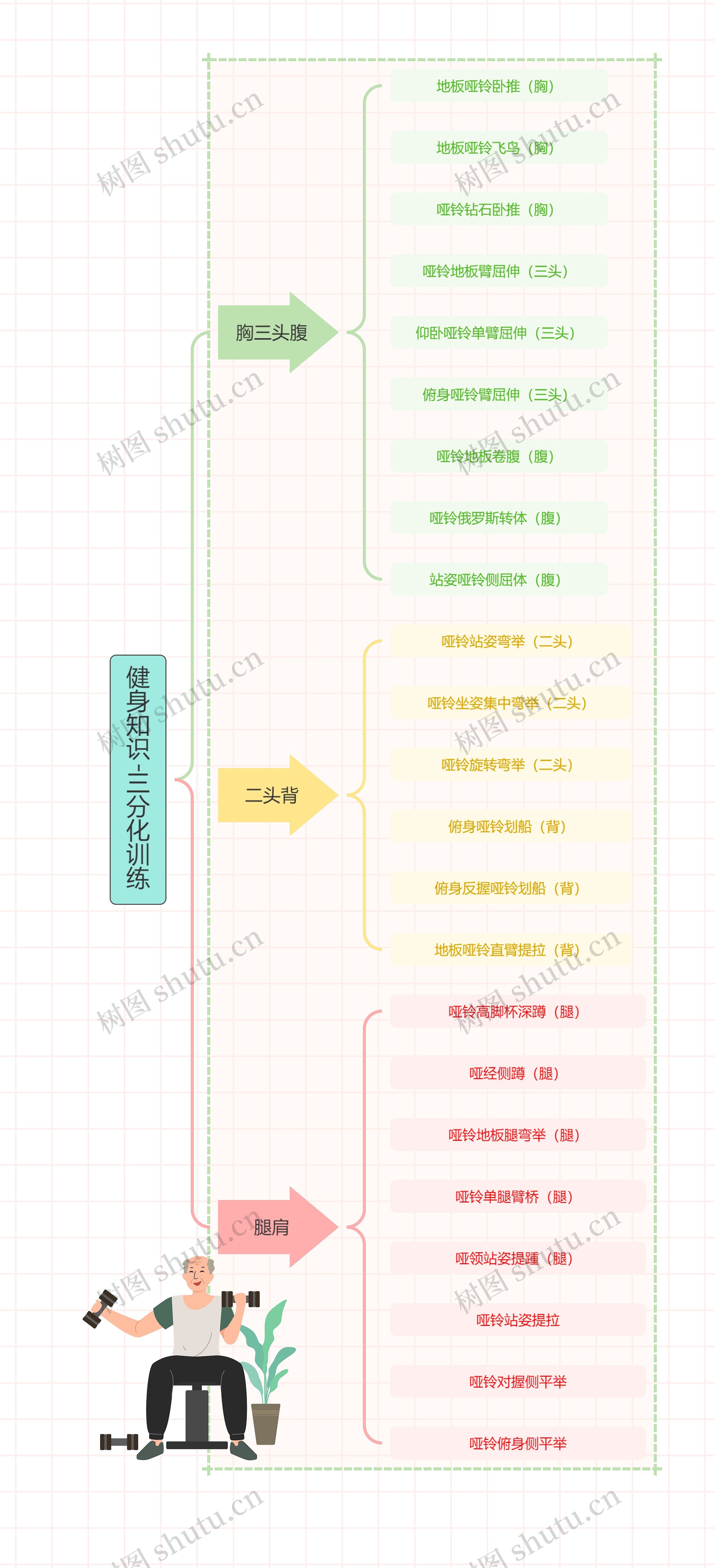 健身知识-三分化训练思维导图