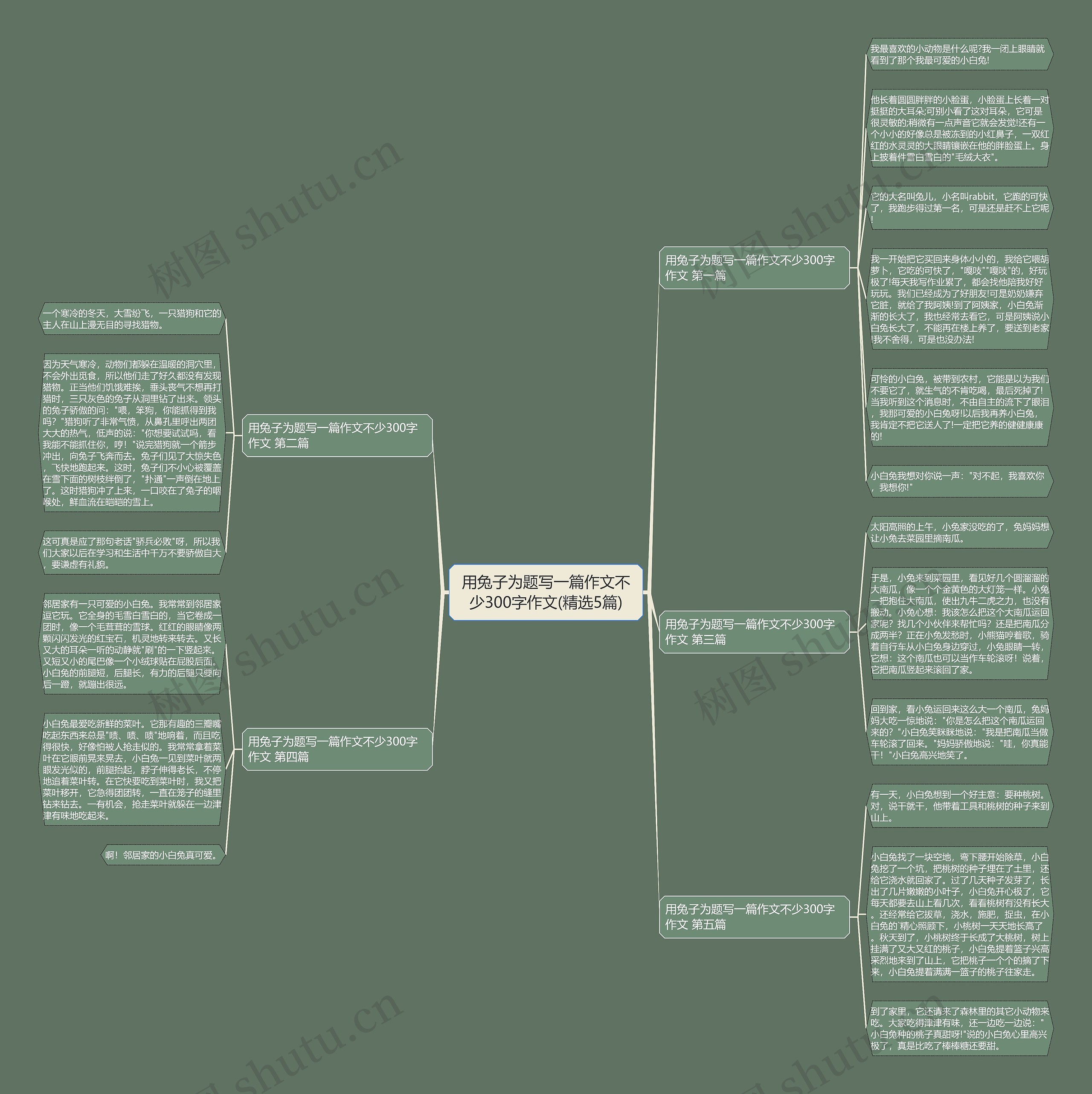 用兔子为题写一篇作文不少300字作文(精选5篇)思维导图