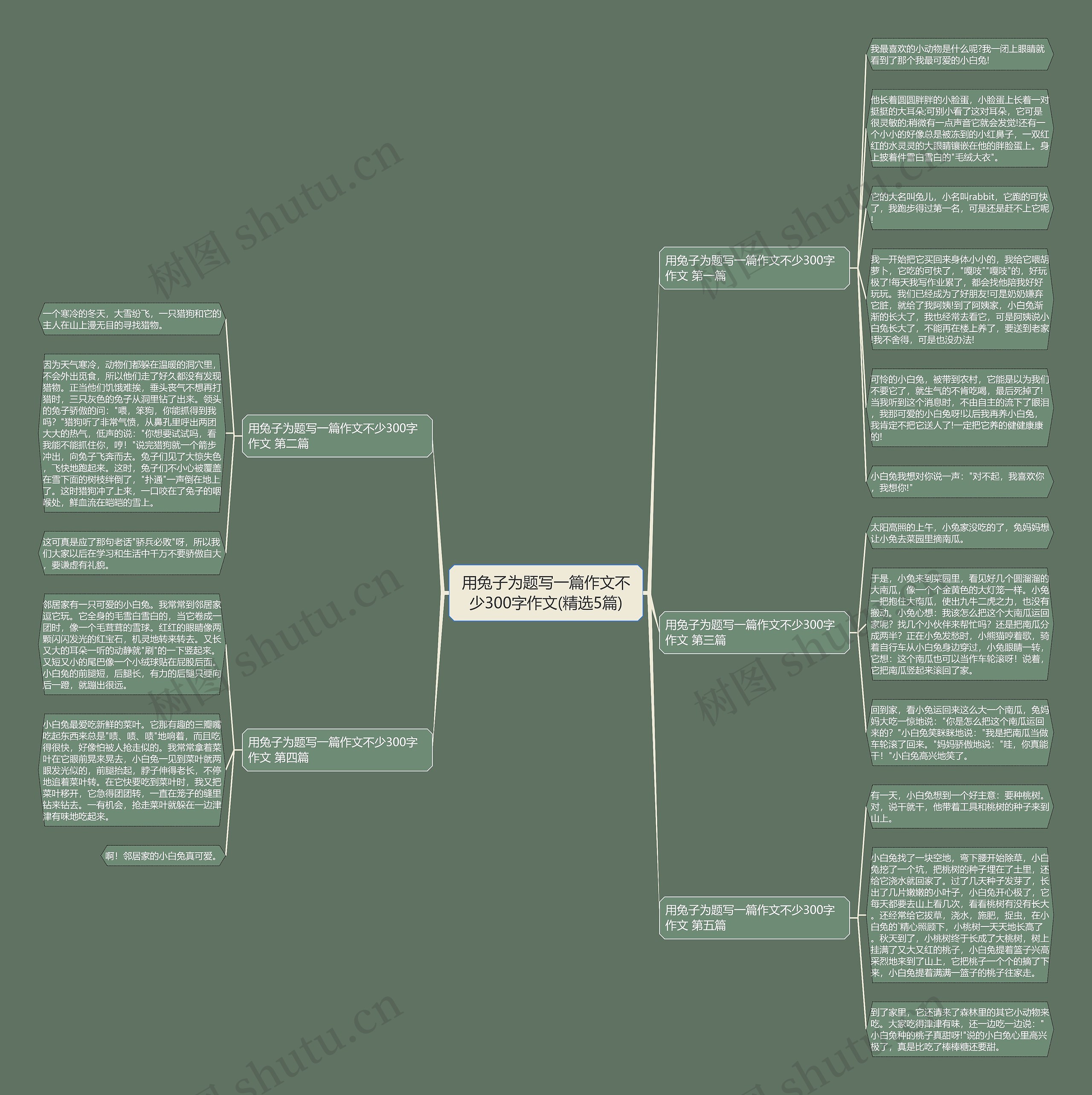 用兔子为题写一篇作文不少300字作文(精选5篇) 用兔子为题写一篇作文不少300字作文(精选5篇)
