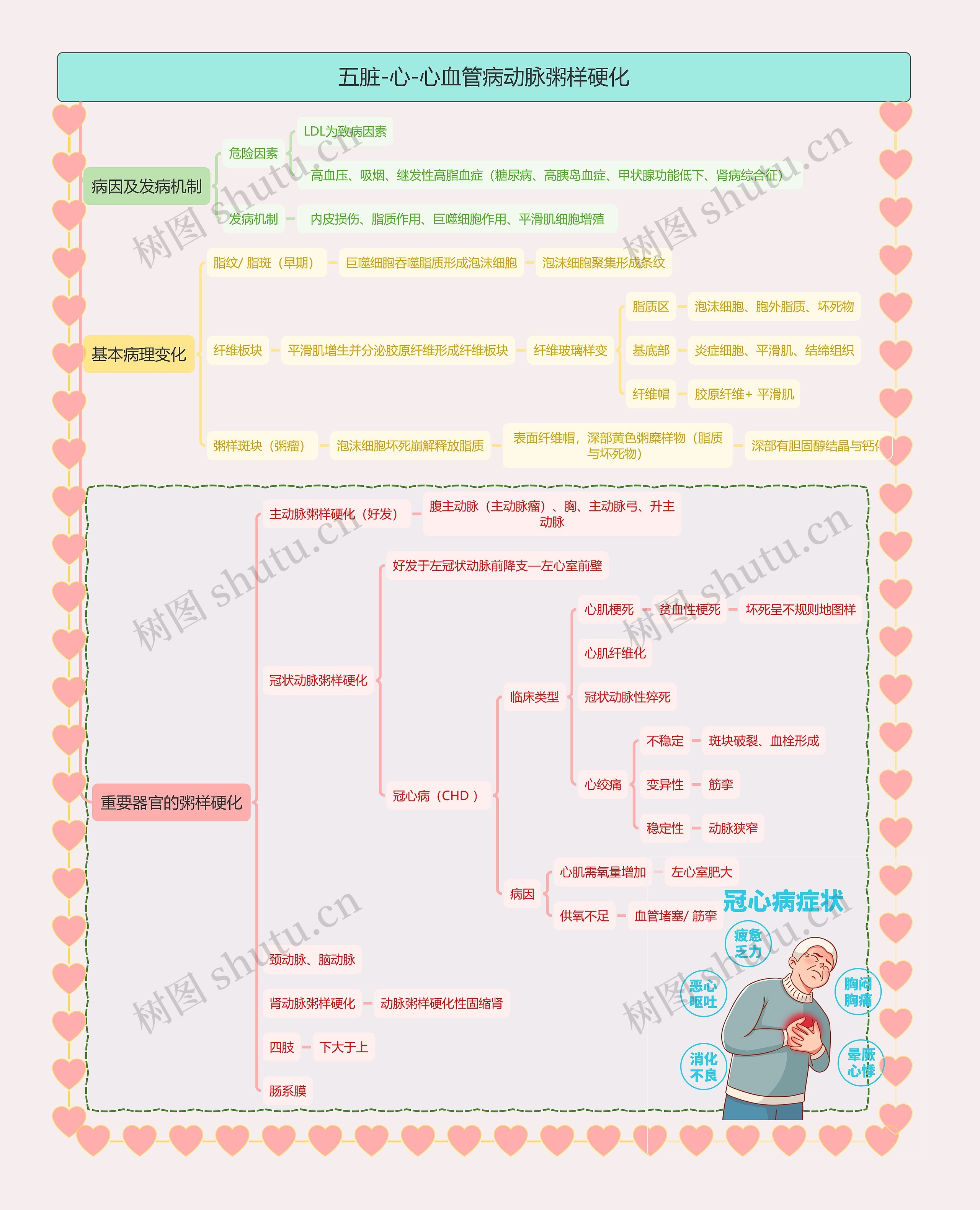 五脏-心-心血管病动脉粥样硬化思维导图