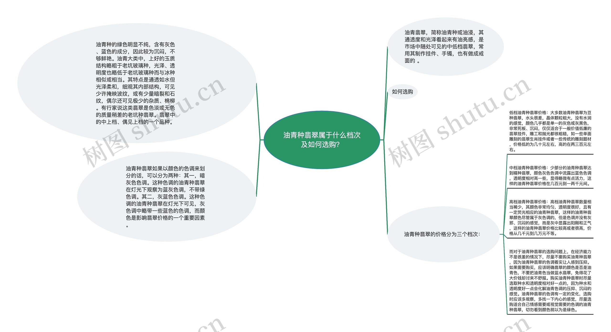 油青种翡翠属于什么档次及如何选购？思维导图