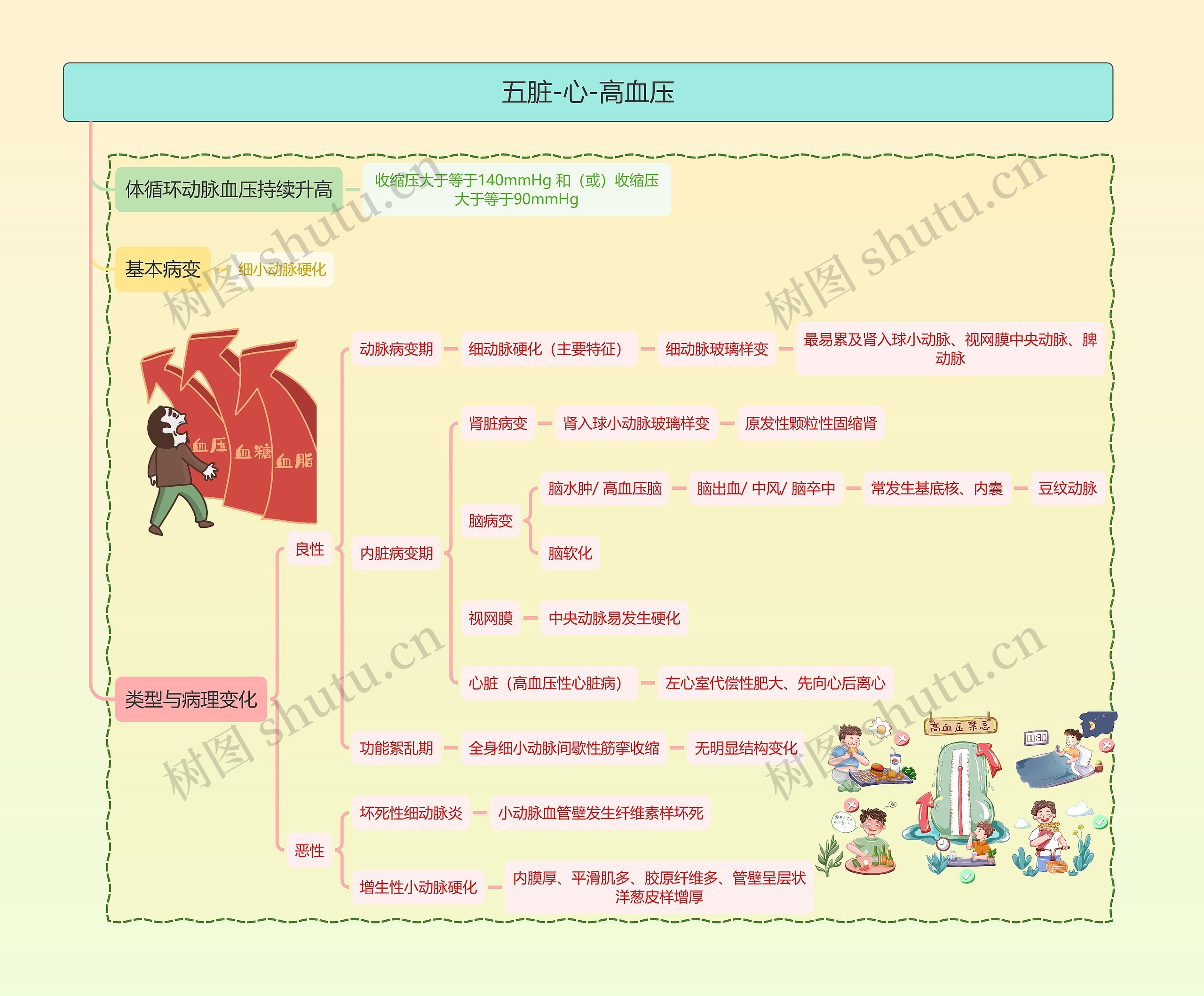 五脏-心-高血压思维导图