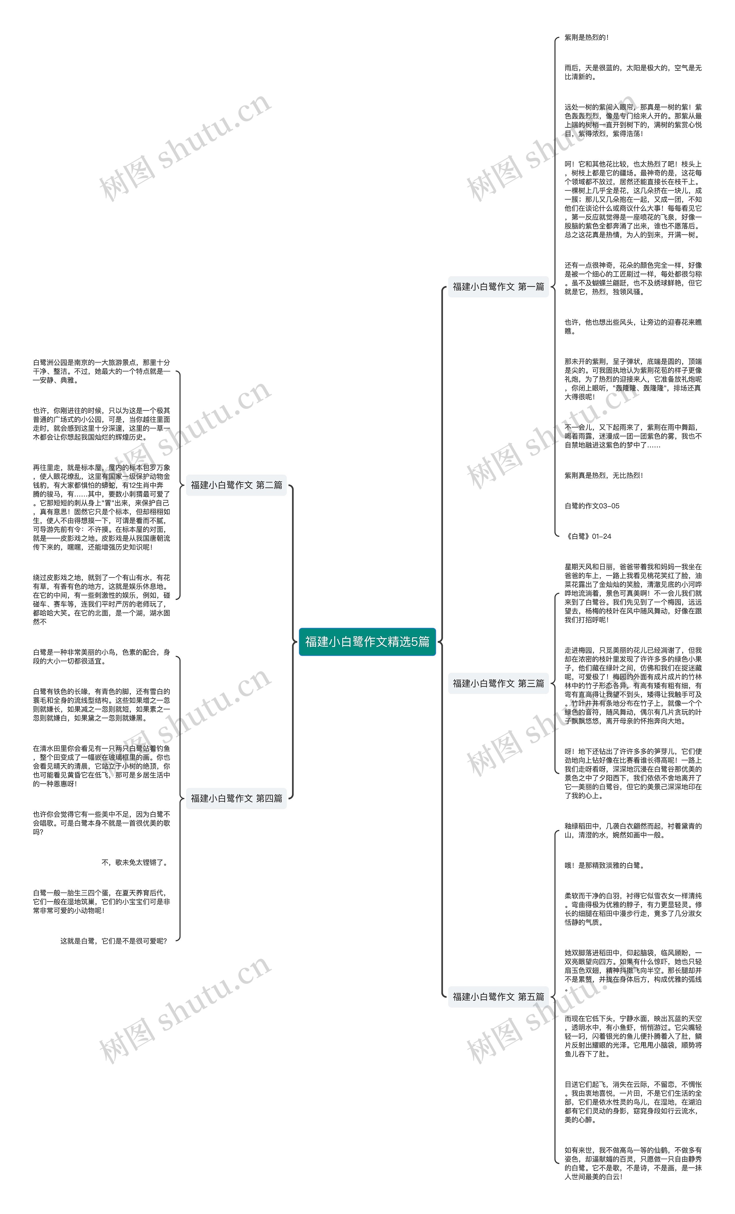 福建小白鹭作文精选5篇思维导图