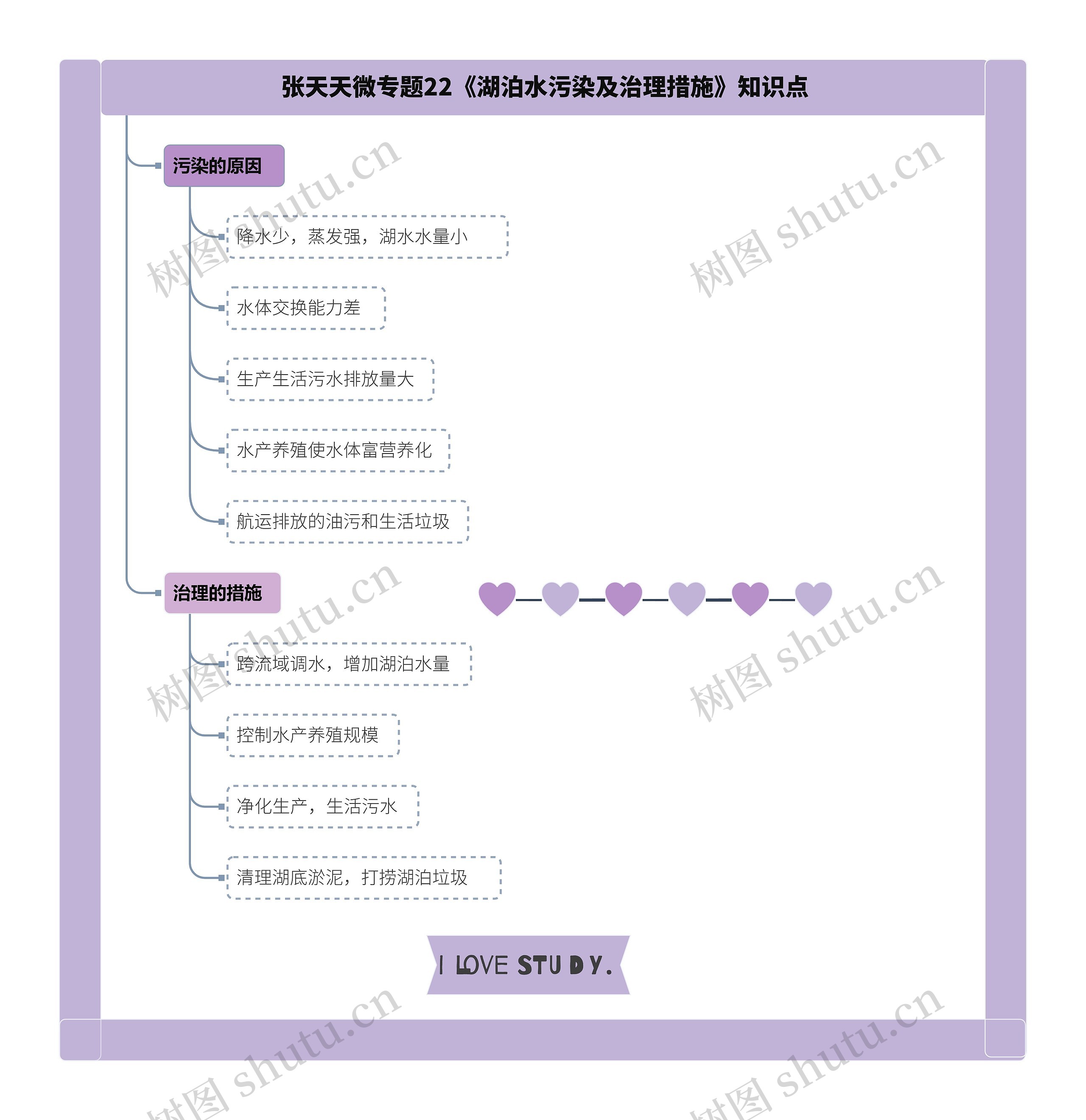 张天天微专题22《湖泊水污染及治理措施》知识点思维导图