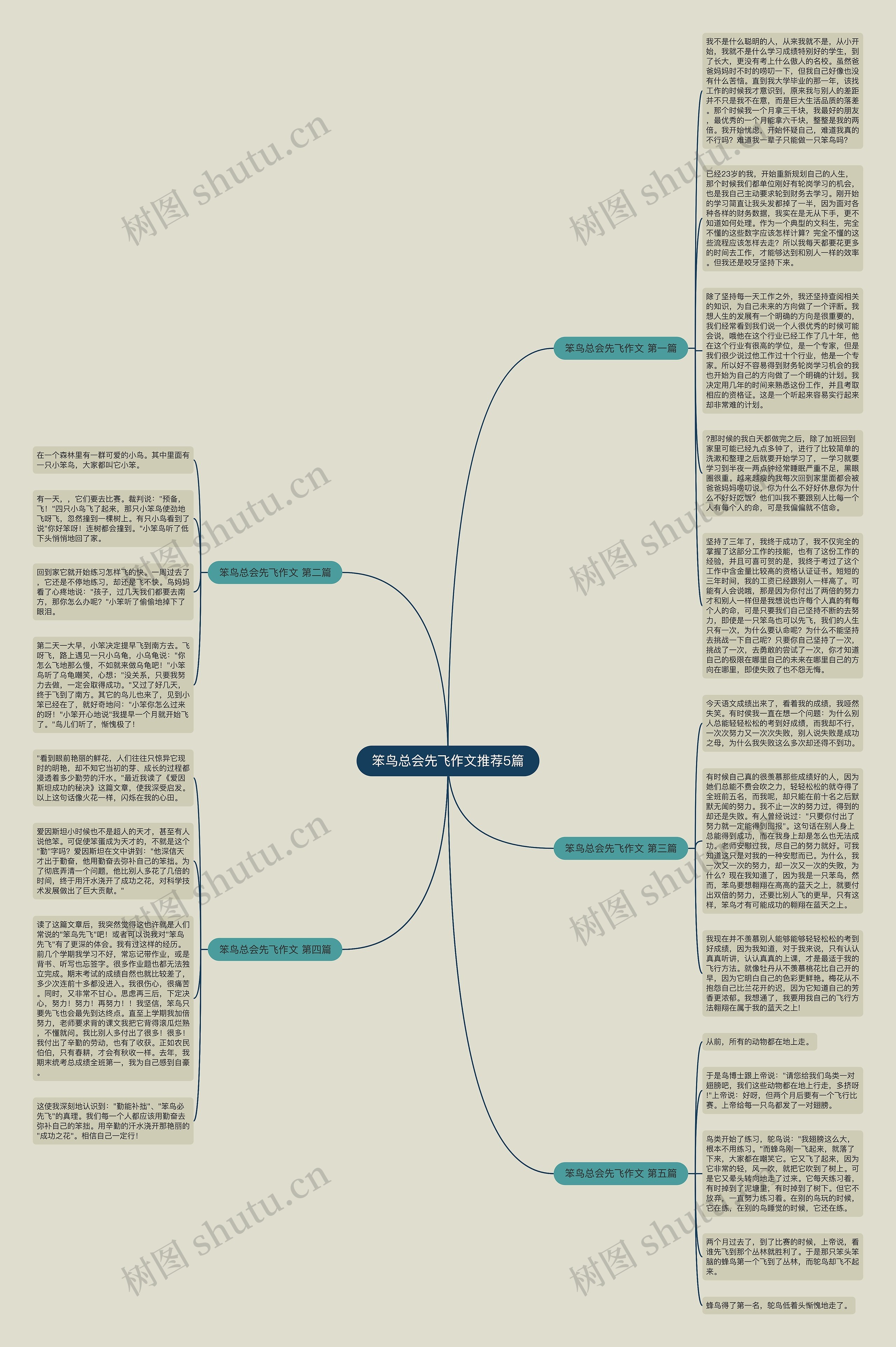 笨鸟总会先飞作文推荐5篇思维导图
