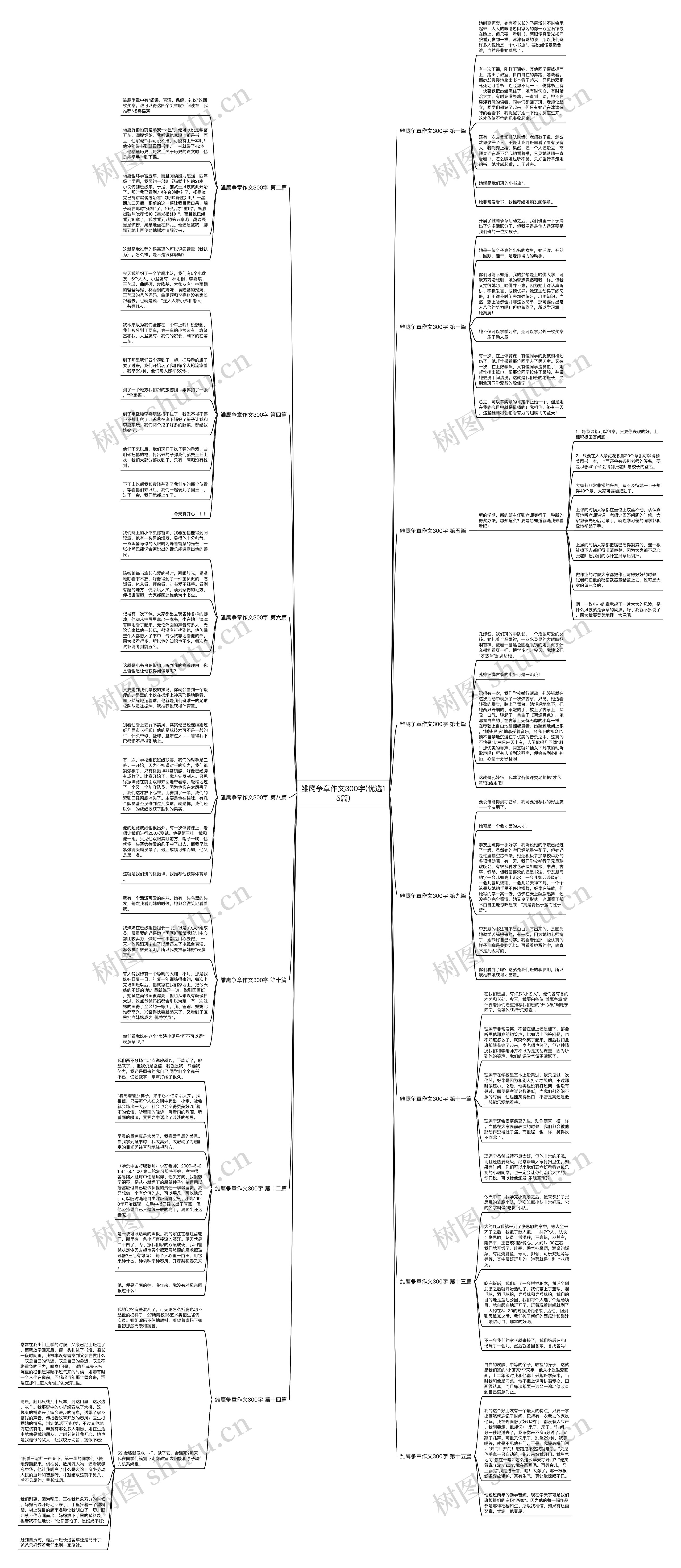 雏鹰争章作文300字(优选15篇)