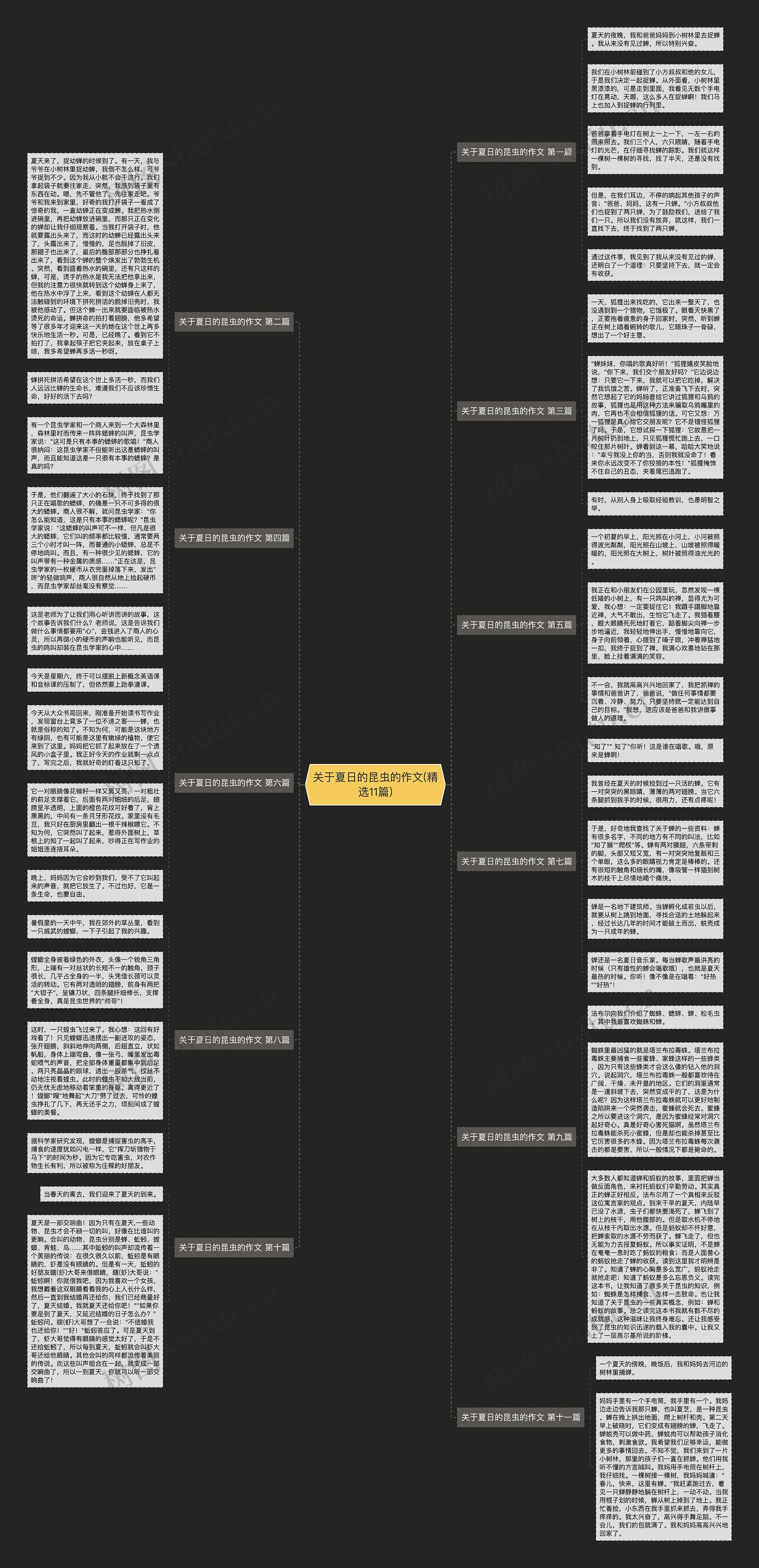 关于夏日的昆虫的作文(精选11篇) 关于夏日的昆虫的作文(精选11篇)