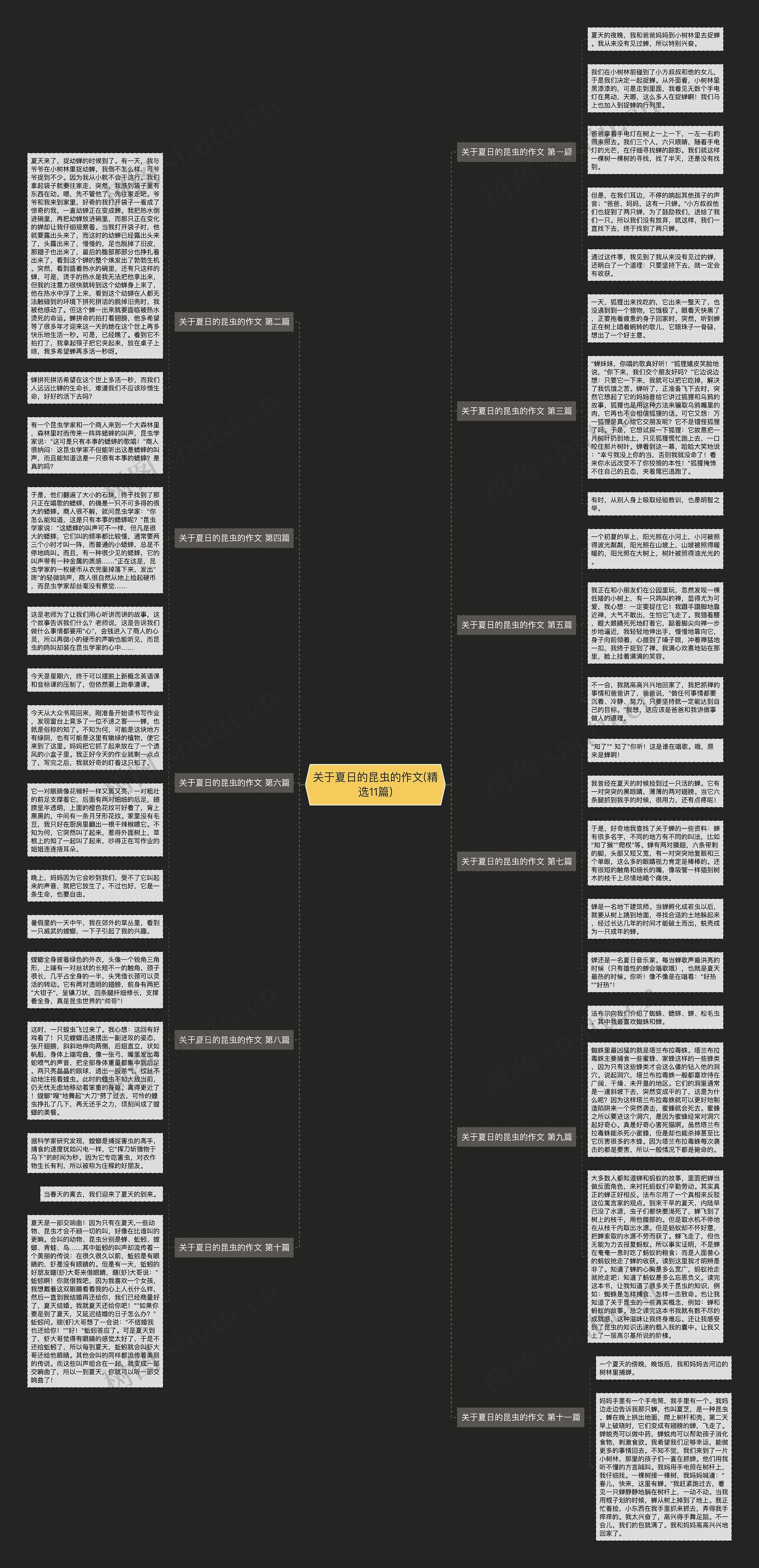 关于夏日的昆虫的作文(精选11篇)思维导图