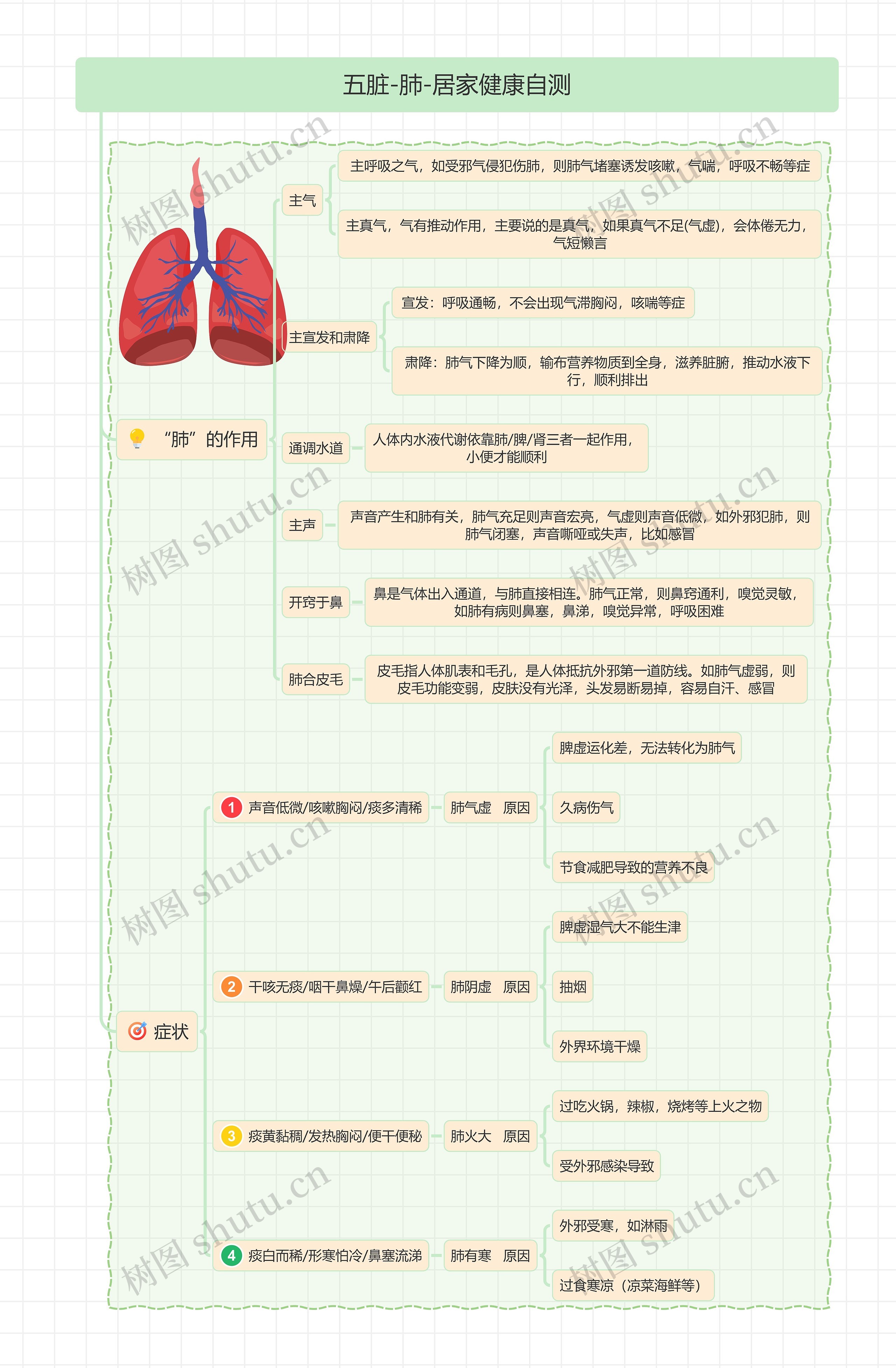 五脏-肺-居家健康自测思维导图