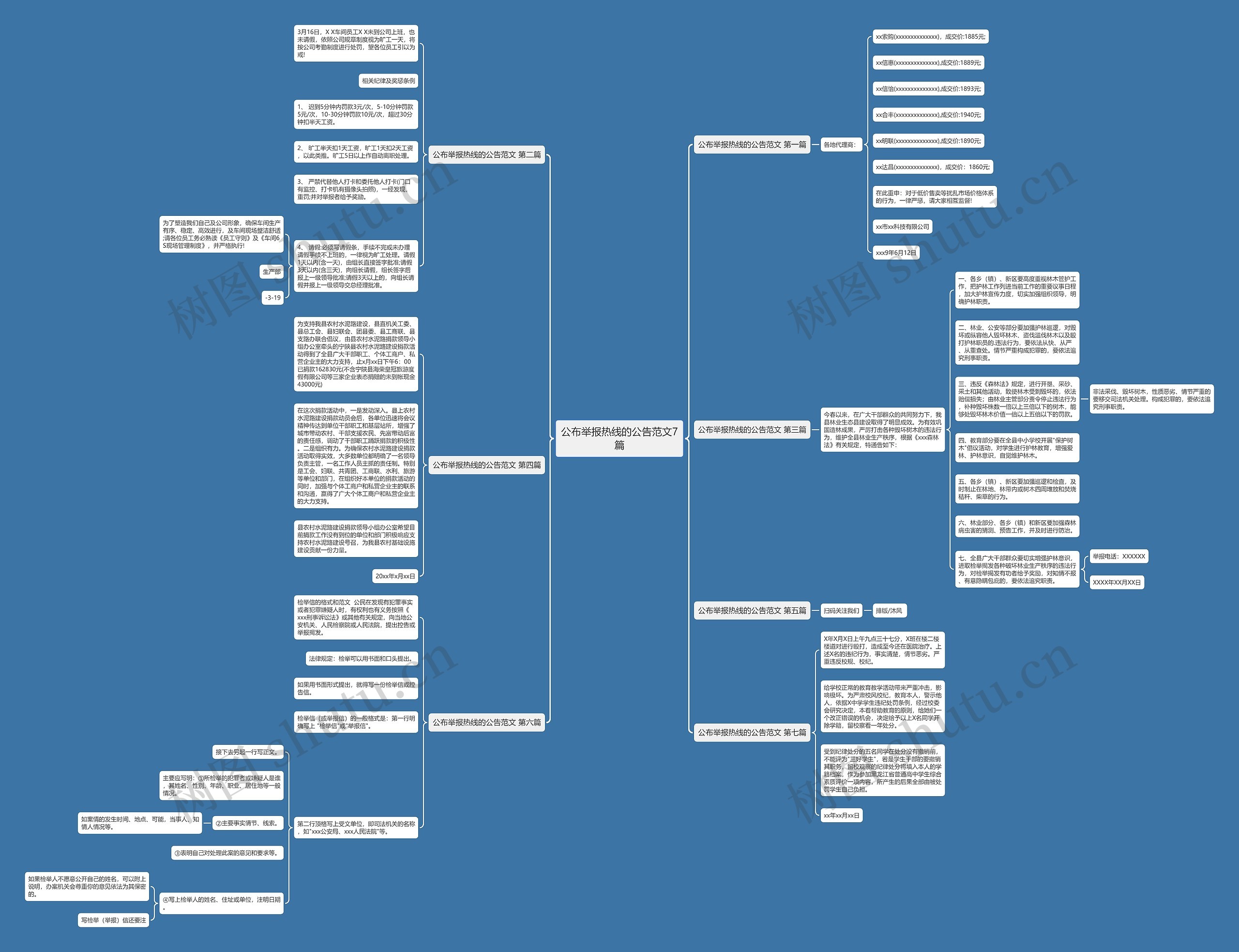 公布举报热线的公告范文7篇思维导图