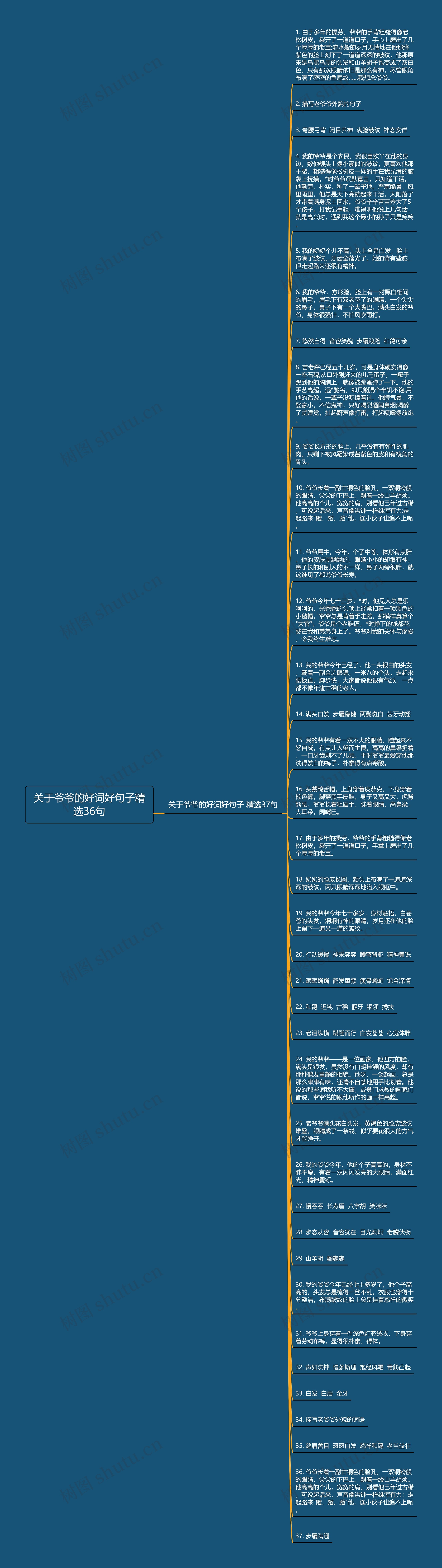 关于爷爷的好词好句子精选36句