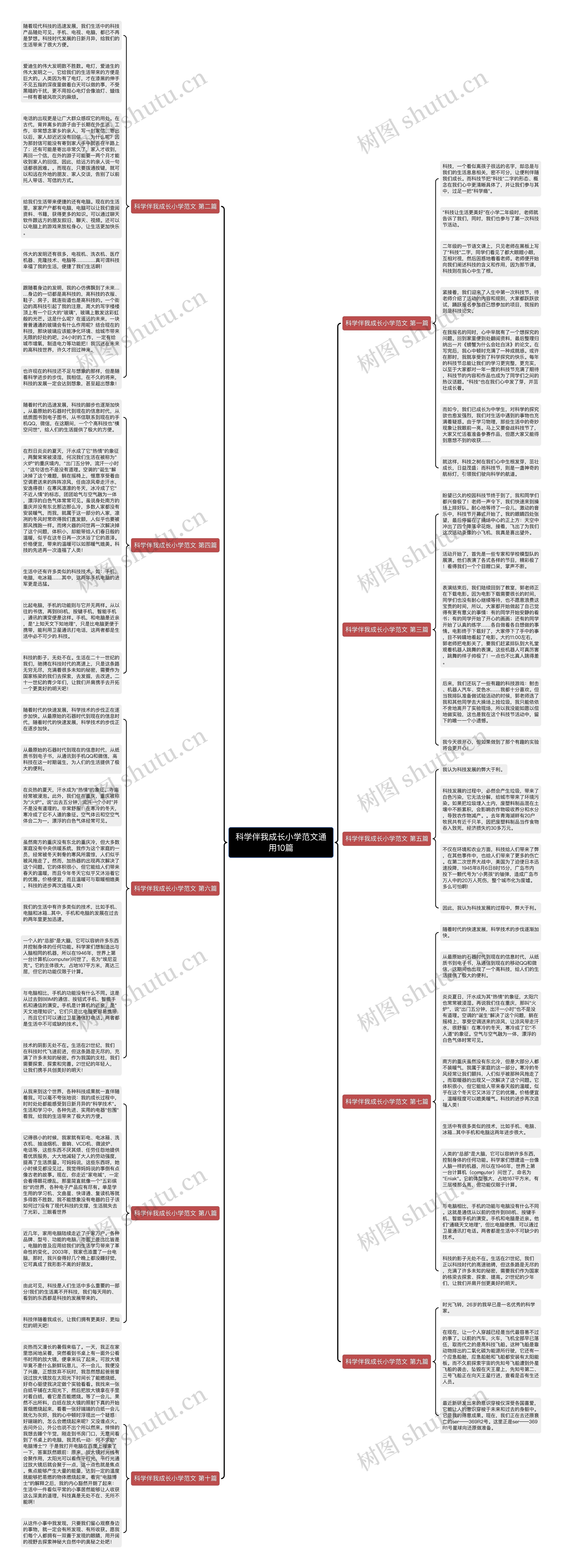 科学伴我成长小学范文通用10篇思维导图