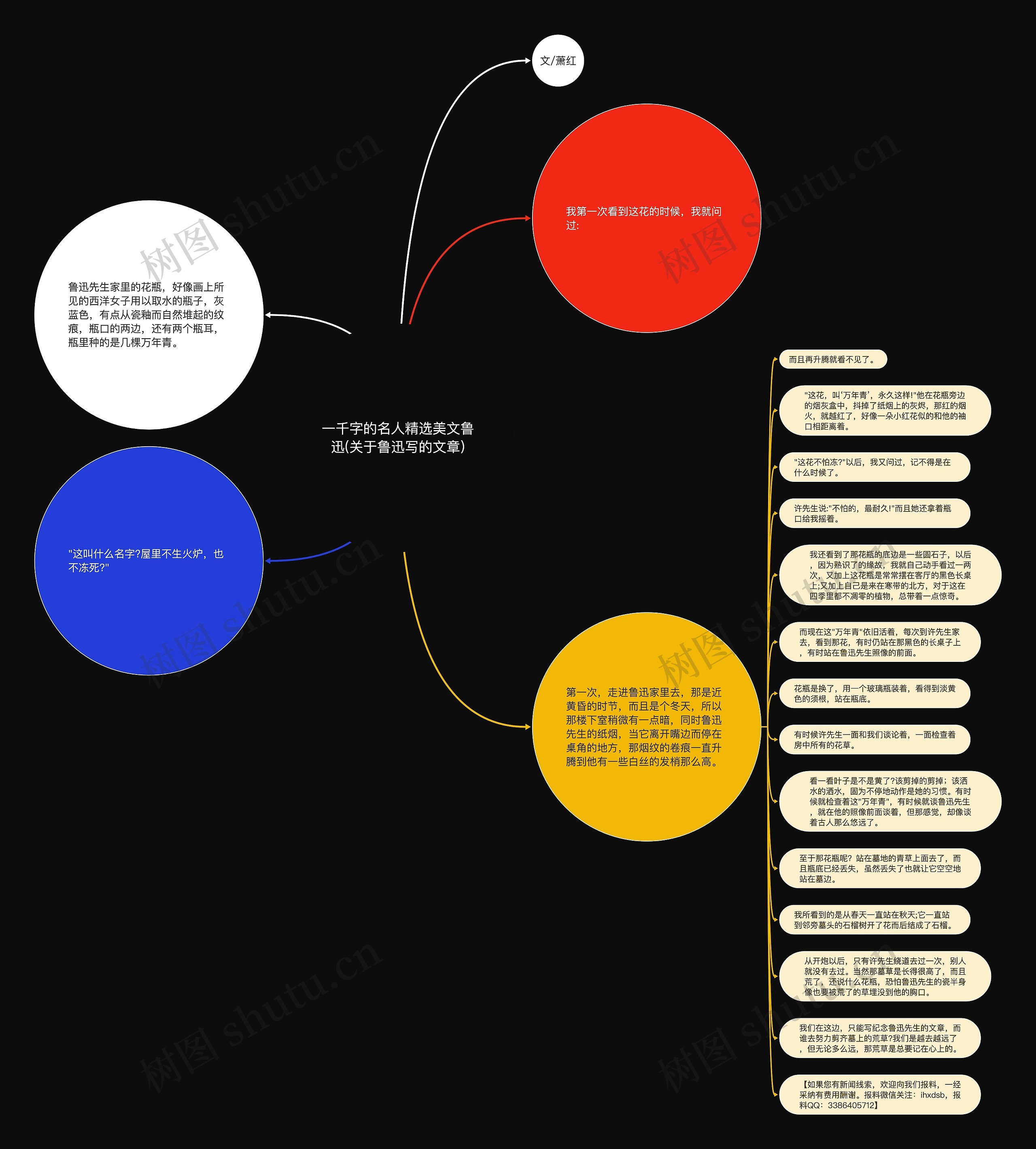 一千字的名人精选美文鲁迅(关于鲁迅写的文章)思维导图