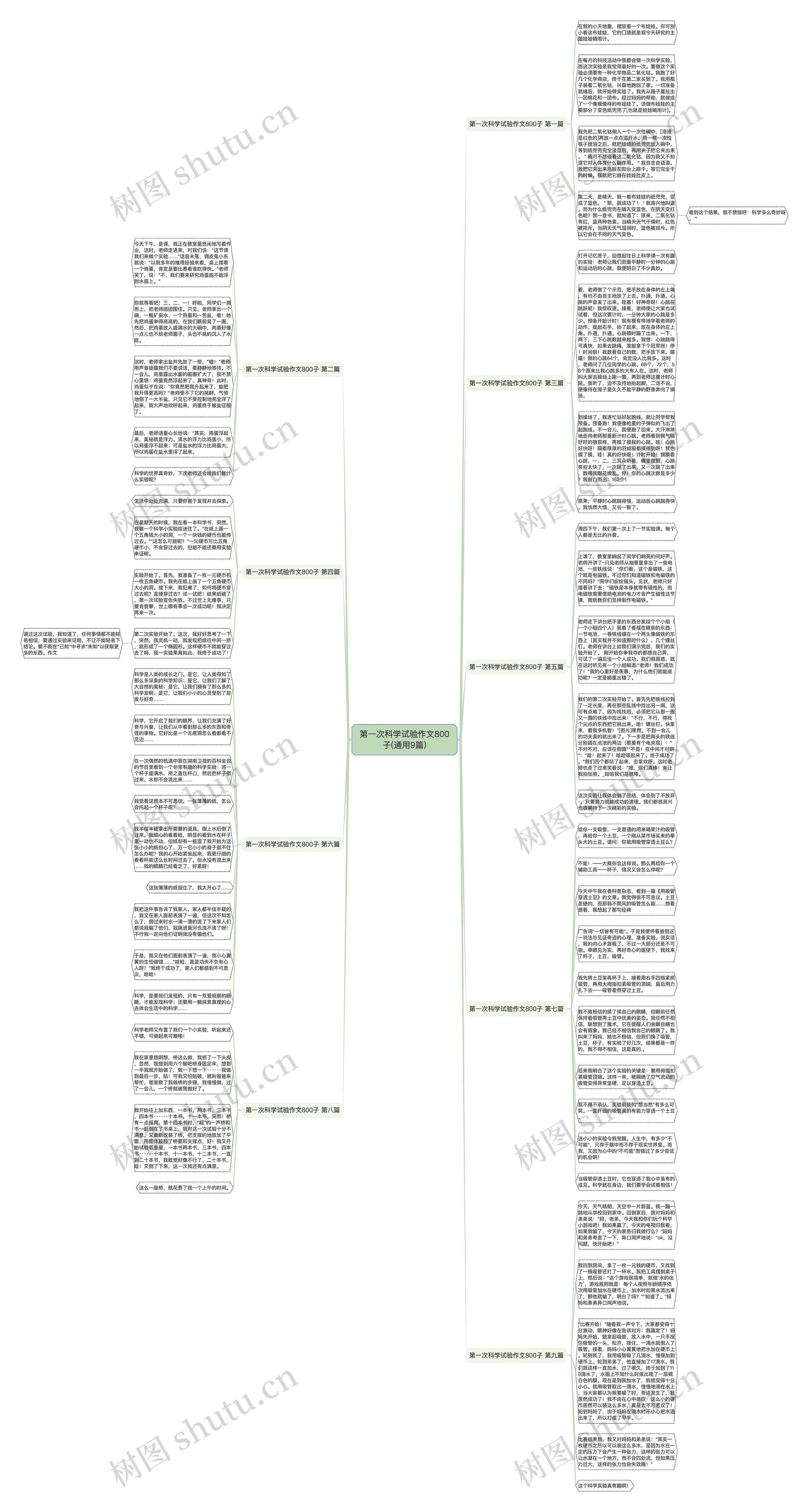 第一次科学试验作文800子(通用9篇)思维导图