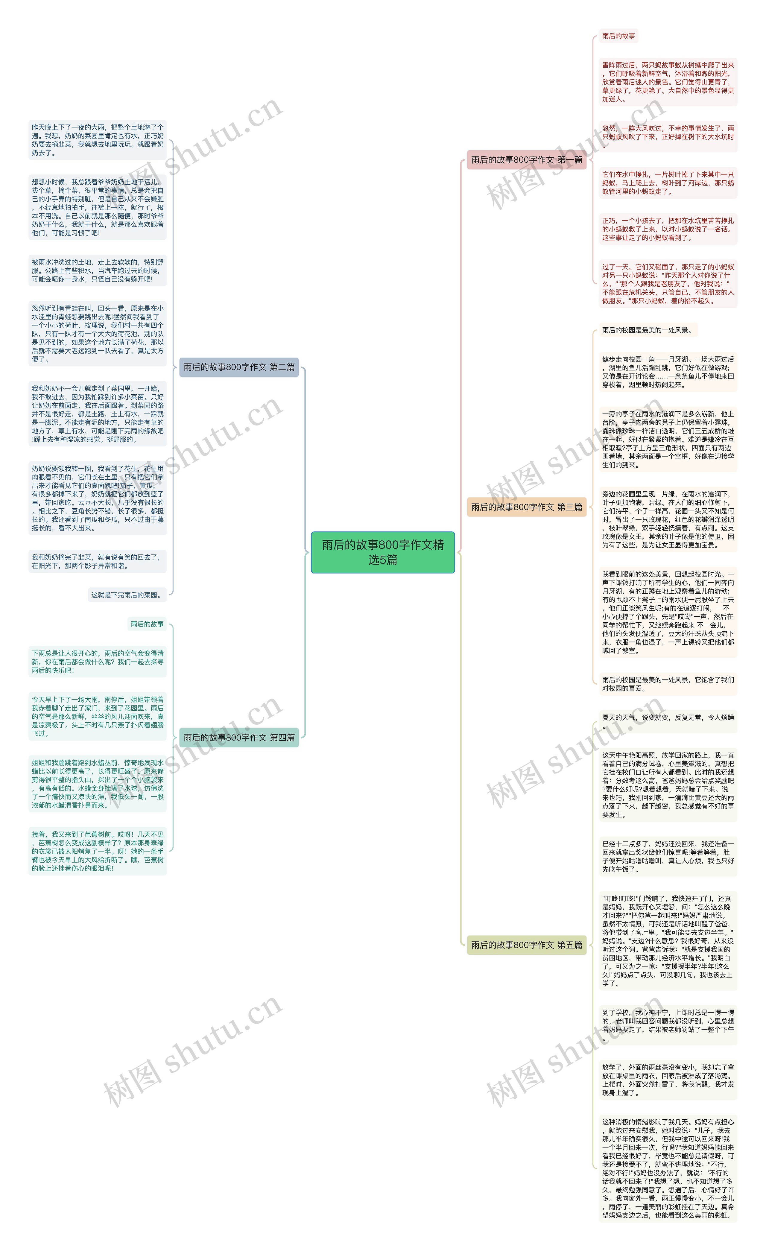 雨后的故事800字作文精选5篇思维导图
