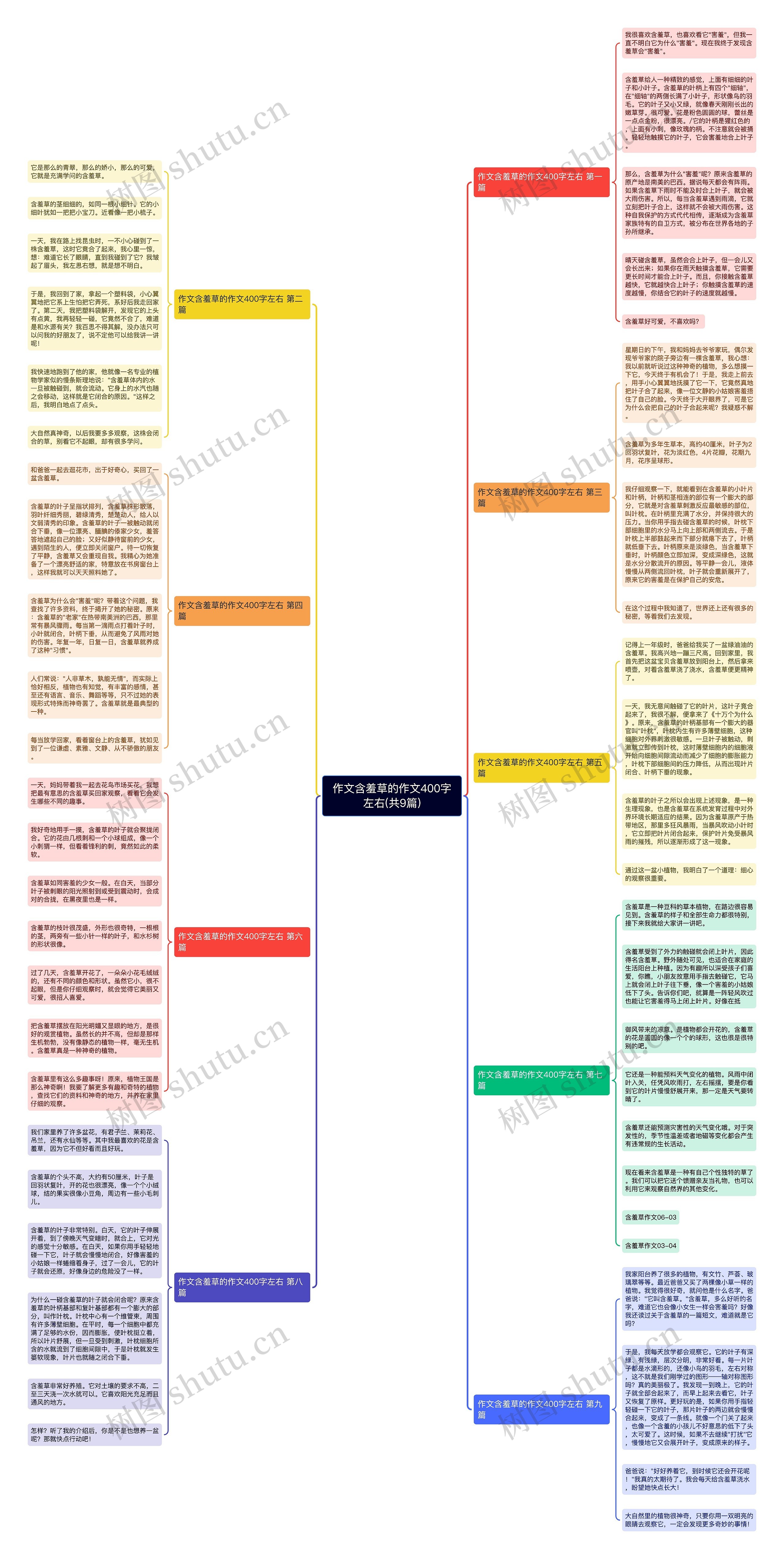 作文含羞草的作文400字左右(共9篇)思维导图