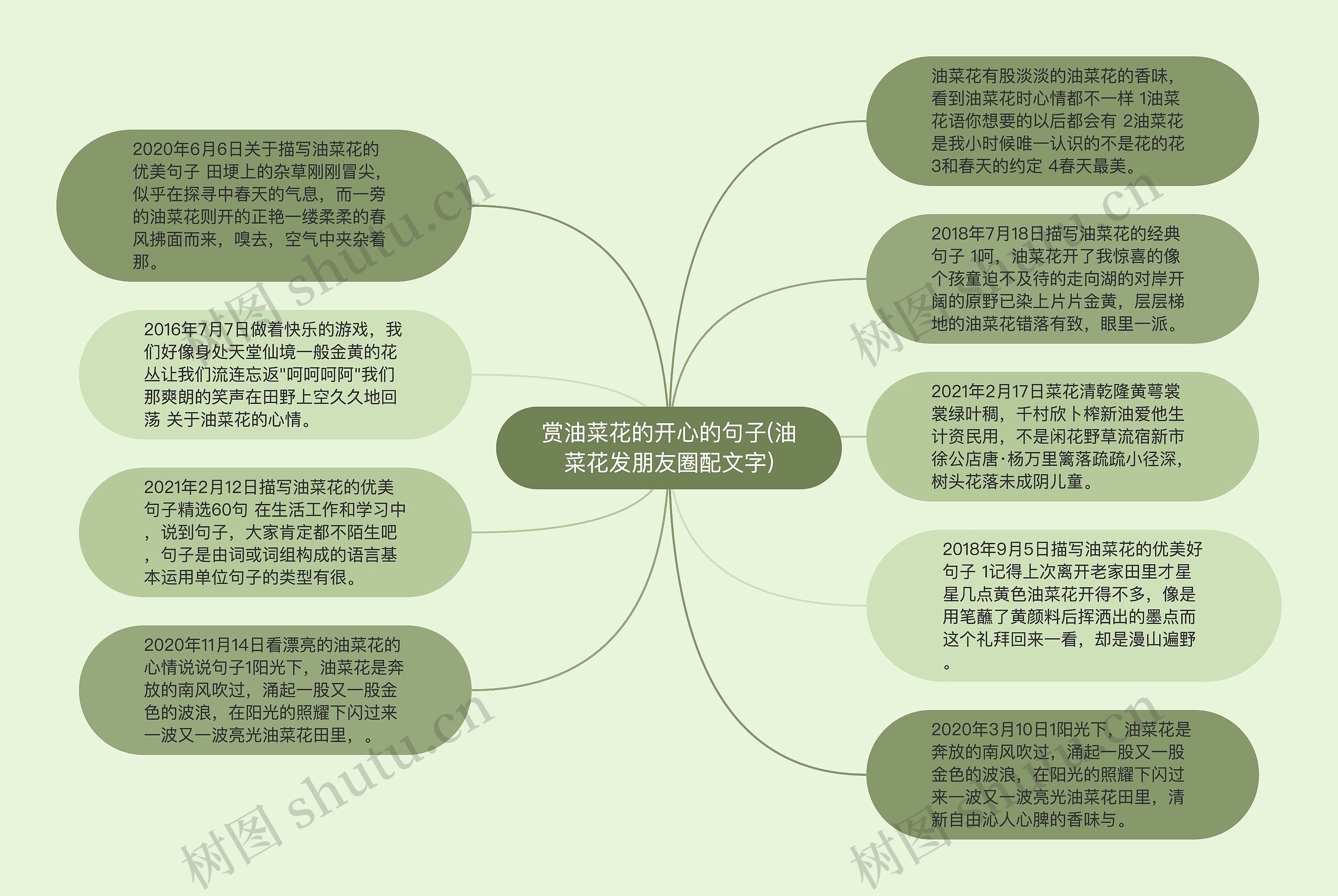 赏油菜花的开心的句子(油菜花发朋友圈配文字)思维导图