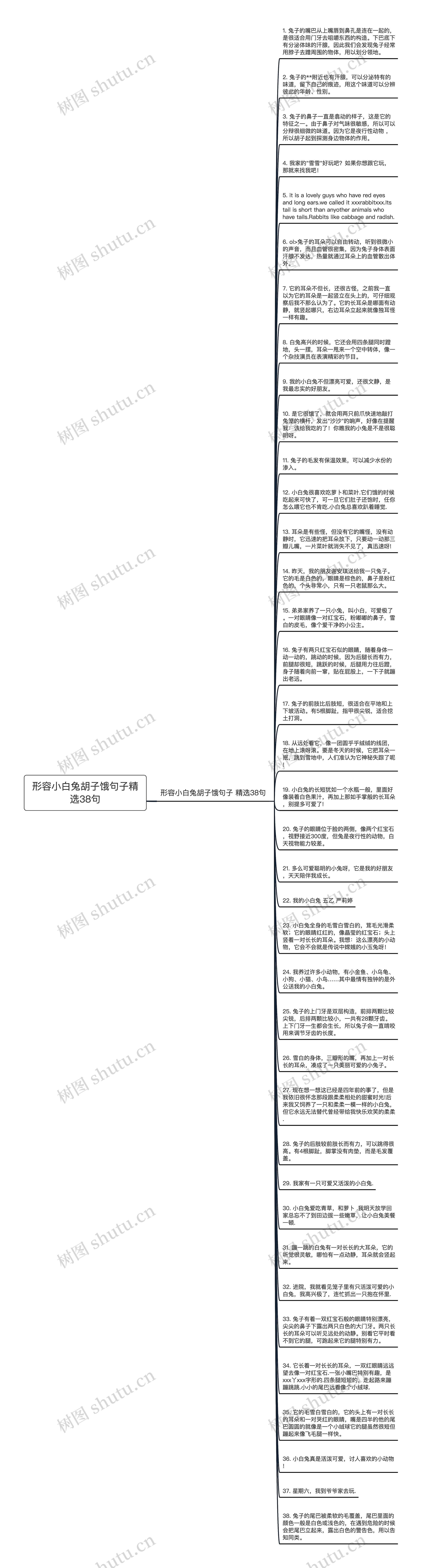 形容小白兔胡子饿句子精选38句思维导图