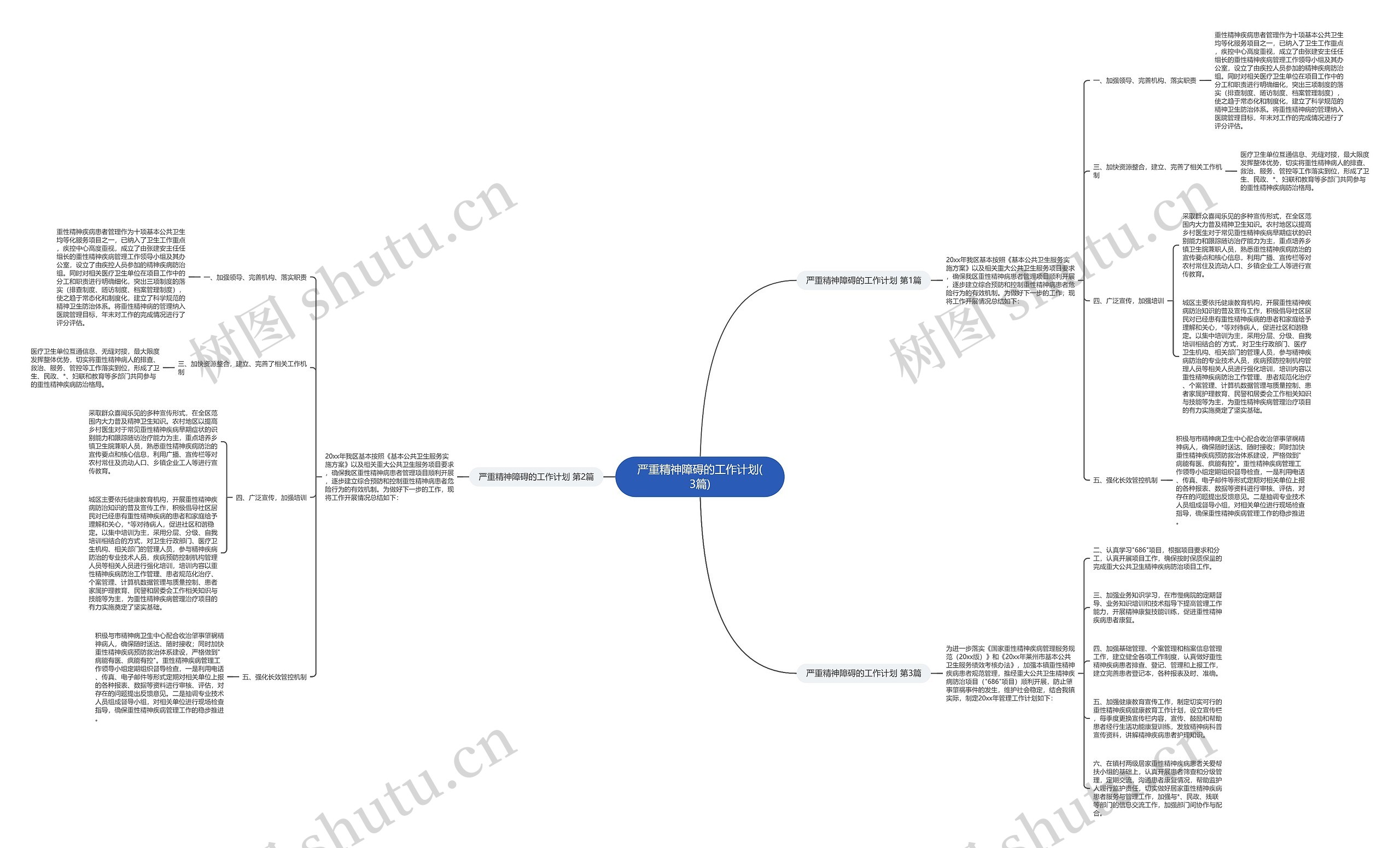 严重精神障碍的工作计划(3篇)思维导图