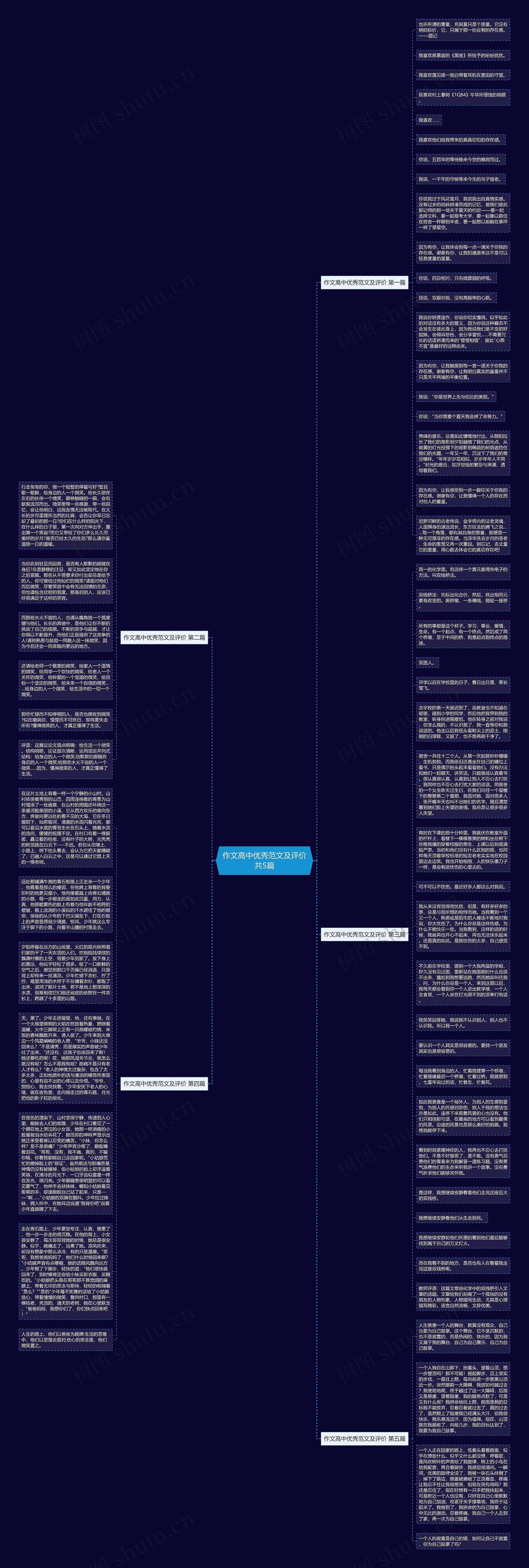 作文高中优秀范文及评价共5篇思维导图
