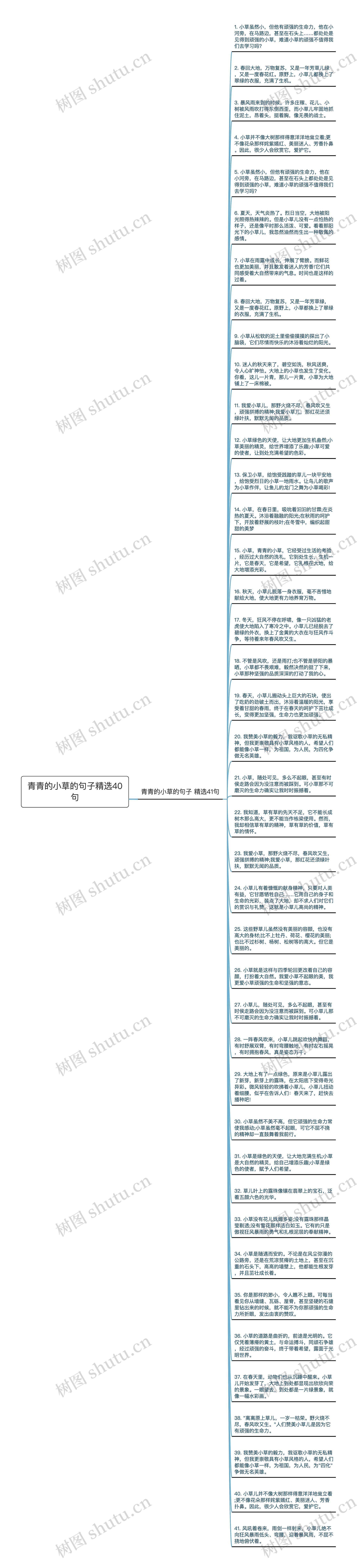 青青的小草的句子精选40句