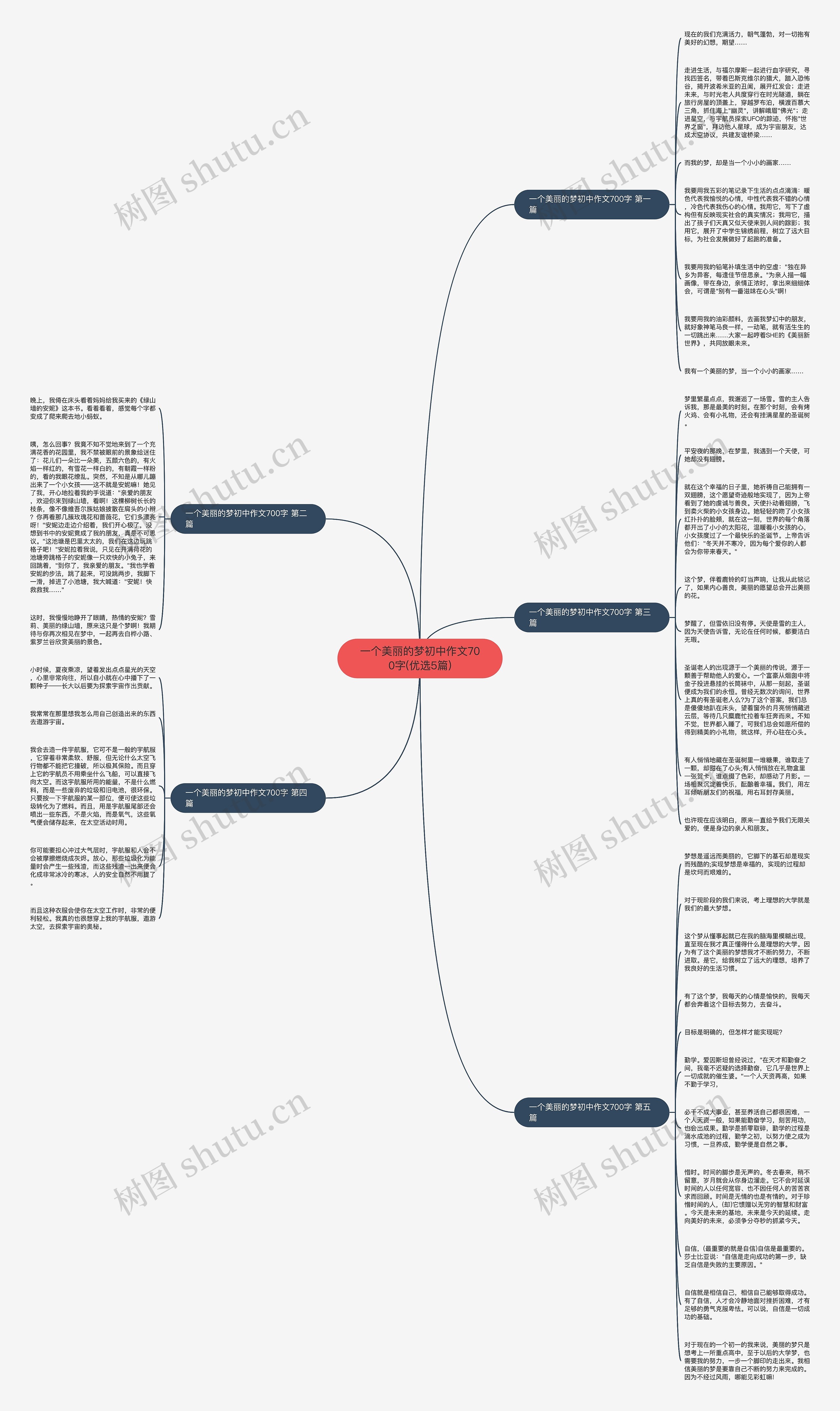 一个美丽的梦初中作文700字(优选5篇)思维导图