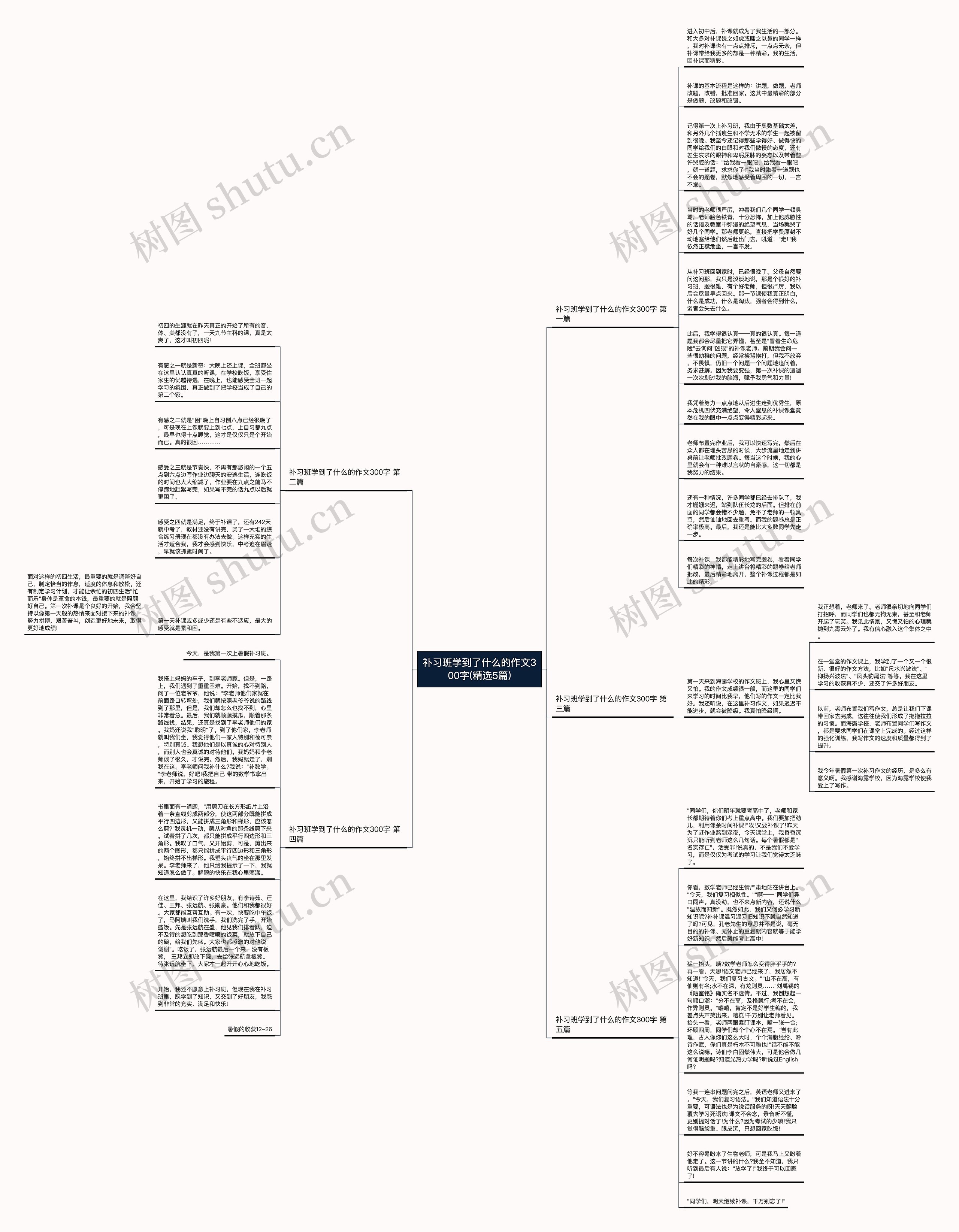 补习班学到了什么的作文300字(精选5篇)思维导图