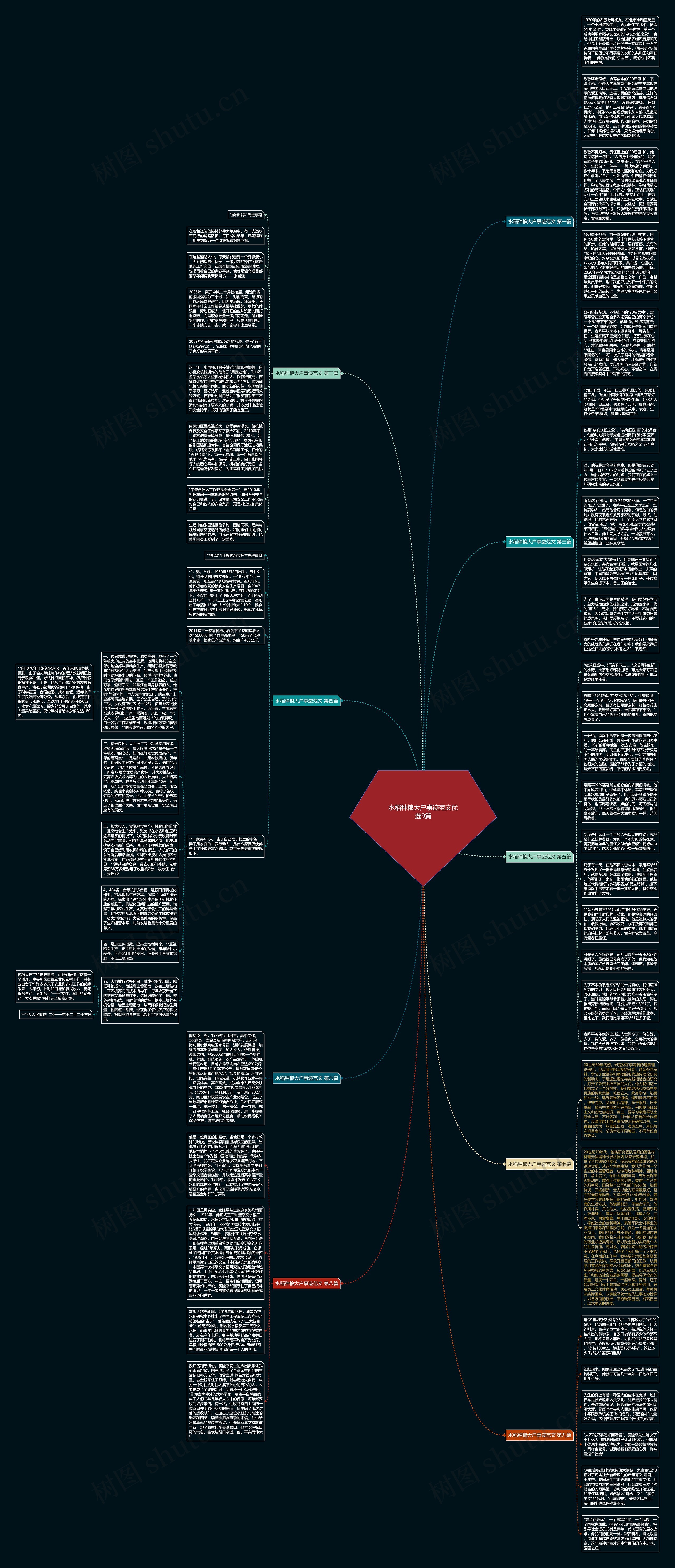 水稻种粮大户事迹范文优选9篇思维导图