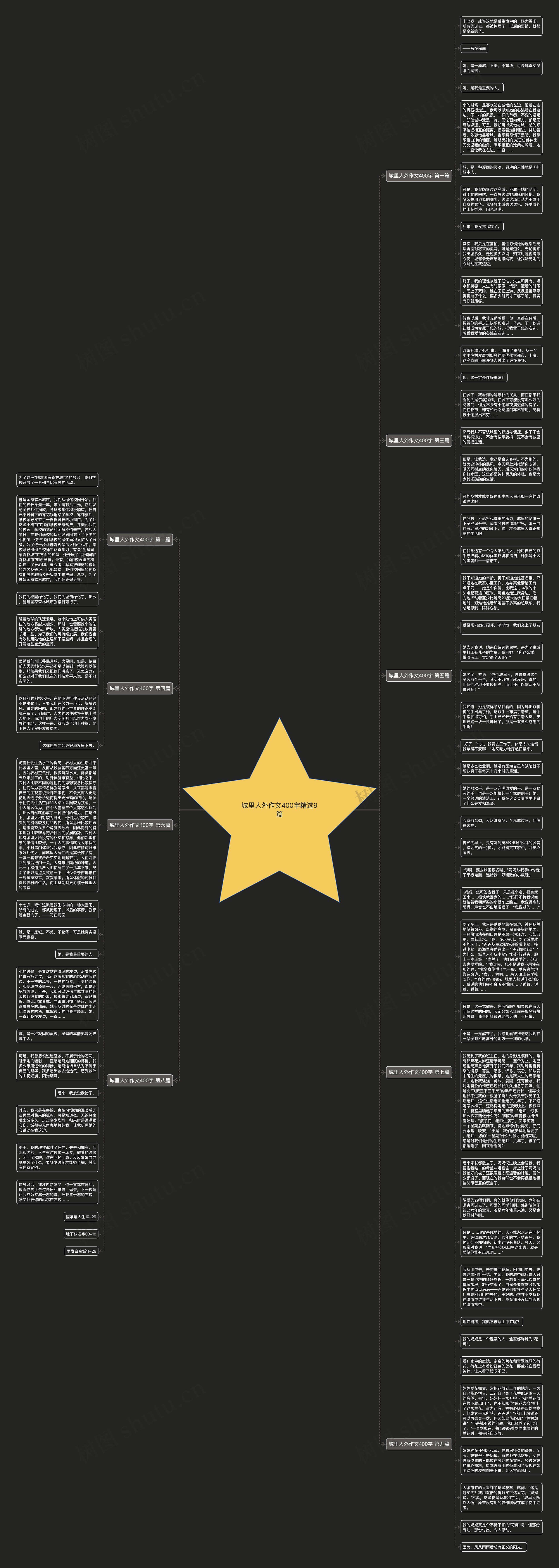 城里人外作文400字精选9篇思维导图