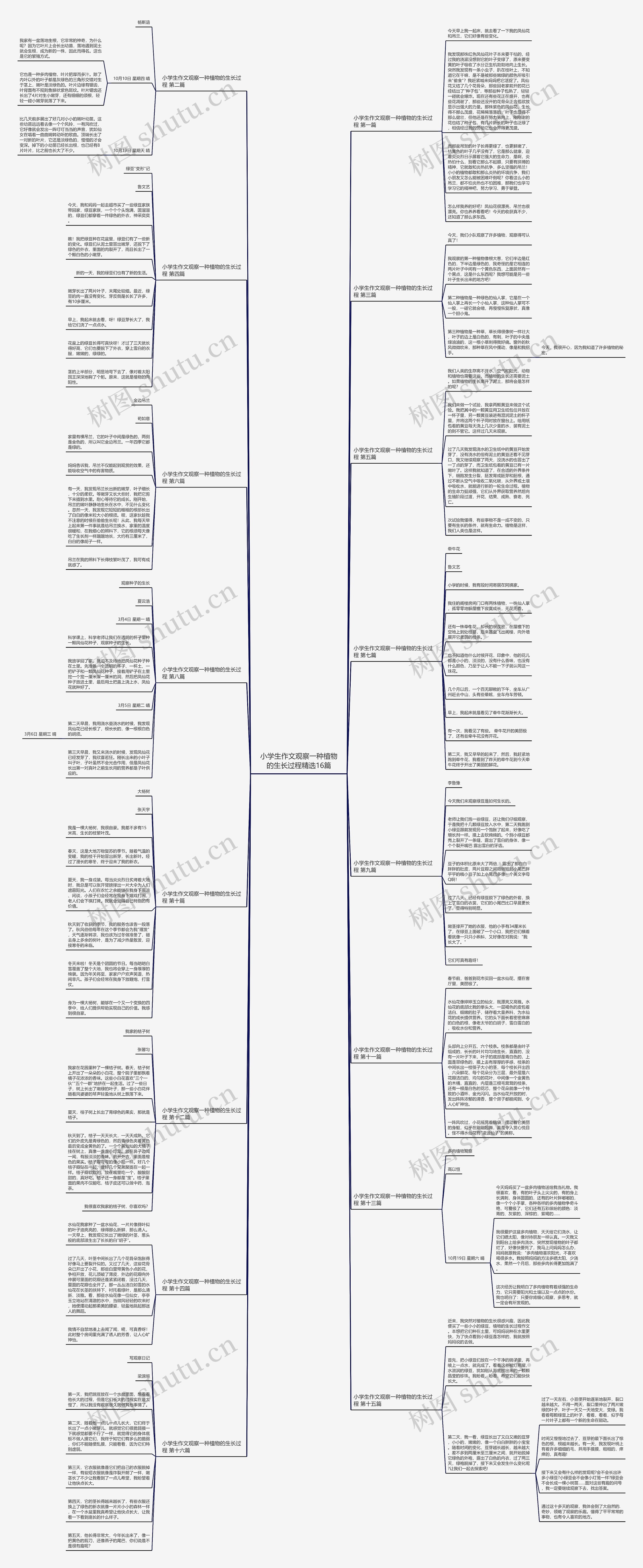 小学生作文观察一种植物的生长过程精选16篇思维导图
