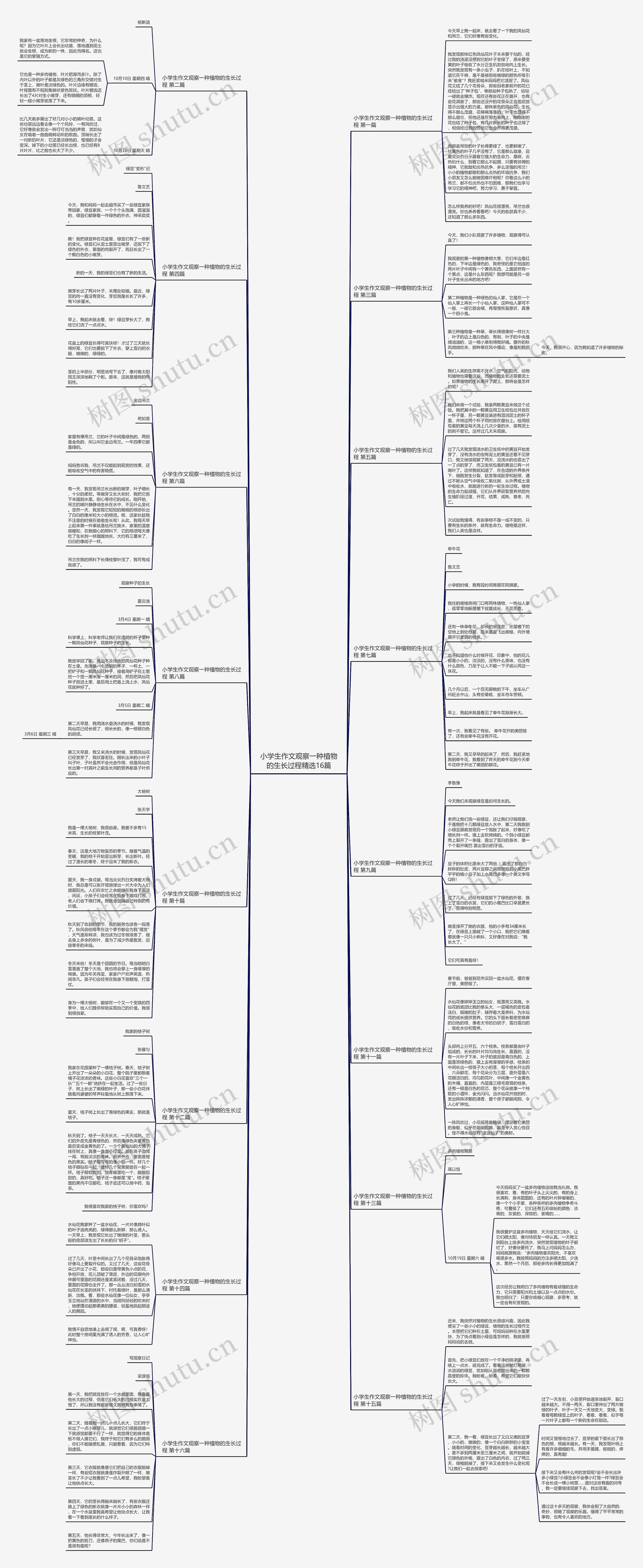 小学生作文观察一种植物的生长过程精选16篇 小学生作文观察一种植物的生长过程精选16篇